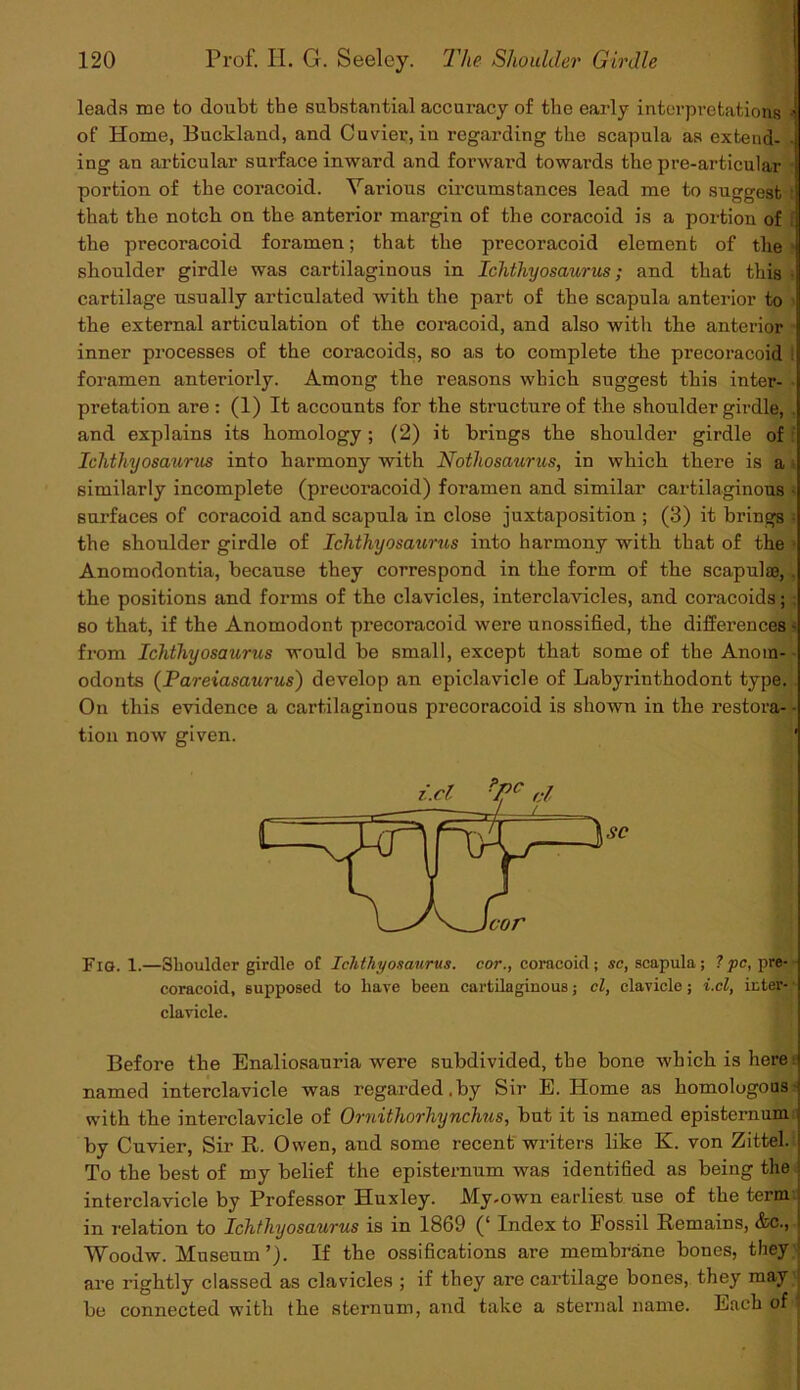 leads me to doubt the substantial accuracy of the early interpretations •’ of Home, Buckland, and Cuvier, in regarding the scapula as extend- ing an articular surface inward and forward towards the pre-articular portion of the coracoid. Various circumstances lead me to suggest t that the notch on the anterior margin of the coracoid is a portion of ; the precoracoid foramen; that the precoracoid element of the shoulder girdle was cartilaginous in Ichthyosaurus; and that this ■ cartilage usually articulated with the part of the scapula anterior to the external articulation of the coracoid, and also with the anterior inner processes of the coracoids, so as to complete the precoracoid i foramen anteriorly. Among the reasons which suggest this inter- pretation are: (1) It accounts for the structure of the shoulder girdle, . and explains its homology ; (2) it brings the shoulder girdle of Ichthyosaurus into harmony with Nothosaurus, in which there is a similarly incomplete (precoracoid) foramen and similar cartilaginous • surfaces of coracoid and scapula in close juxtaposition ; (3) it brings = the shoulder girdle of Ichthyosaurus into harmony with that of the ■ Anomodontia, because they correspond in the form of the scapula}, . the positions and forms of the clavicles, interclavicles, and coracoids; ; so that, if the Anomodont precoracoid were unossified, the differences - from Ichthyosaurus would be small, except that some of the Anoin- odonts (Pareiasaurus) develop an epiclavicle of Labyrinthodont type. . On this evidence a cartilaginous precoracoid is shown in the restora- • tion now given. SC cor Fia. 1.—Shoulder girdle of Ichthyosaurus, cor., coracoid; sc, scapula ; ? pc, pre- coracoid, supposed to have been cartilaginous; cl, clavicle; i.cl, inter- • clavicle. Before the Enaliosauria were subdivided, the bone which is here named interclavicle was regarded.by Sir E. Home as homologous with the interclavicle of Ornithorhynchus, but it is named episternum by Cuvier, Sir R. Owen, and some recent writers like K. von Zittel. To the best of my belief the episternum was identified as being the interclavicle by Professor Huxley. JVIy-own earliest use of the term, in relation to Ichthyosaurus is in 1869 (‘ Index to Fossil Remains, &c., Woodw. Museum’). If the ossifications are membrane bones, they are rightly classed as clavicles ; if they are cartilage bones, they may be connected with the sternum, and take a sternal name. Each of