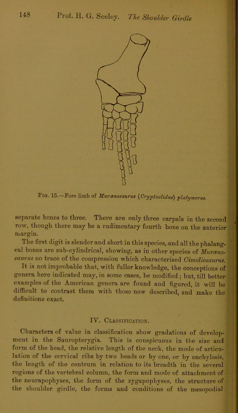 Fig. 15.—Fore limb of Muranosaurus (Cryptoclidus) platymerus. separate tones to three. There are only three carpals in the second row, though there may be a rudimentary fourth bone on the anterior margin. The first digit is slender and short in this species, and all the phalang- eal bones are sub-cylindrical, showing, as in other species of Murce.no- saurus no trace of the compression which characterised Gimoliosaurus. It is not improbable that, with fuller knowledge, the conceptions of genera here indicated may, in some cases, he modified; hut, till better examples of the American genera are found and figured, it will be difficult to contrast them with those now described, and make the definitions exact. IV. Classification. Characters of value in classification show gradations of develop- ment in the Sauropterygia. This is conspicuous in the size and form of the head, the relative length of the neck, the mode of articu- lation of the cervical ribs by two heads or by one, or by anchylosis, the length of the centrum in relation to its breadth in the several regions of the vertebral column, the form and mode of attachment of the neurapophyses, the form of the zygapophyses, the structure of the shoulder girdle, the forms and conditions of the mesopodial