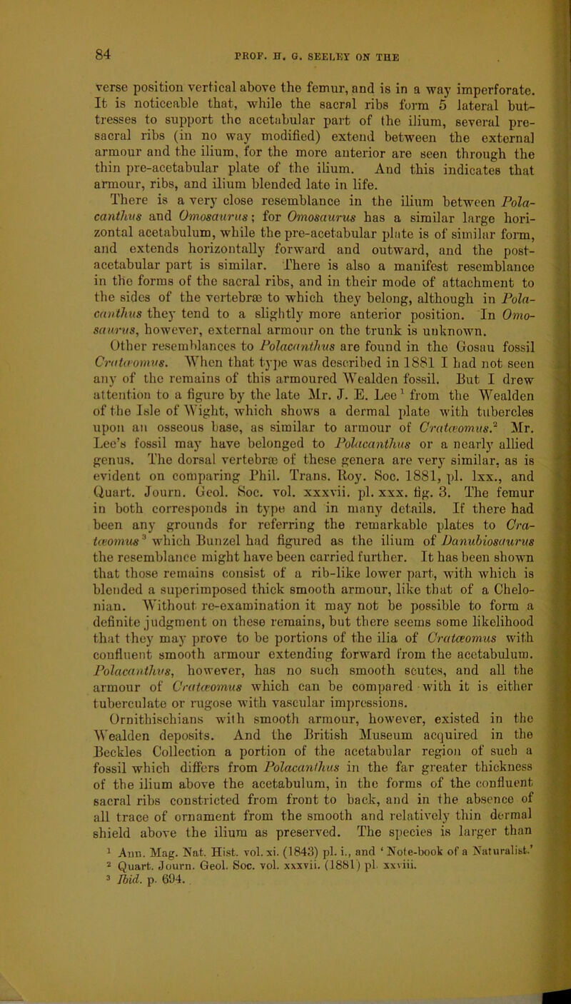 verse position vertical above the femur, and is in a way imperforate. It is noticeable that, while the sacral ribs form 5 lateral but- tresses to support the acetabular part of the ilium, several pre- sacra] ribs (in no way modified) extend between the external armour and the ilium, for the more anterior are seen through the thin pre-acetabular plate of the ilium. And this indicates that armour, ribs, and ilium blended late in life. There is a very close resemblance in the ilium between Pola- canthus and Omosaurus; for Omosaurus has a similar large hori- zontal acetabulum, while the pre-acetabular plate is of similar form, and extends horizontally forward and outward, and the post- acetabular part is similar. There is also a manifest resemblance in the forms of the sacral ribs, and in their mode of attachment to the sides of the vertebrae to which they belong, although in Pola- ennthus they tend to a slightly more anterior position. In Omo- saurus, however, external armour on the trunk is unknown. Other resemblances to Polacanthus are found in the Gosau fossil Cratceomus. When that type was described in 1881 I had not seen any of the remains of this armoured Wealden fossil. But I drew attention to a figure by the late Mr. J. E. Lee 1 from the Wealden of the Isle of Wight, which shows a dermal plate with tubercles upon an osseous base, as similar to armour of Cratceomus.2 Mr. Lee’s fossil may have belonged to Polacanthus or a nearly allied genus. The dorsal vertebra of these genera are very similar, as is evident on comparing Phil. Trans. Boy. Soc. 1881, pi. lxx., and Quart. Journ. Geol. Soc. vol. xxxvii. pi. xxx. fig. 3. The femur in both corresponds in type and in many details. If there had been any grounds for referring the remarkable plates to Cra- tceomus 3 which Bunzel had figured as the ilium of Danubiosuurus the resemblance might have been carried further. It has been shown that those remains consist of a rib-like lower part, with which is blended a superimposed thick smooth armour, like that of a Chelo- nian. Without re-examination it may not be possible to form a definite judgment on these remains, but there seems some likelihood that they may prove to be portions of the ilia of Cratceomus with confluent smooth armour extending forward from the acetabulum. Polacanthus, however, has no such smooth scutes, and all the armour of Cratceomus which can be compared with it is either tuberculate or rugose with vascular impressions. Ornithischians with smooth armour, however, existed in tho Wealden deposits. And the British Museum acquired in the Beckles Collection a portion of the acetabular region of such a fossil which differs from Polacanthus in the far greater thickness of the ilium above the acetabulum, in the forms of the confluent sacral ribs constricted from front to back, and in the absence of all trace of ornament from the smooth and relatively thin dermal shield above the ilium as preserved. The species is larger than 1 Ann. Mag. Nat. Hist. vol. xi. (1843) pi. i., and ‘ Note-book of a Naturalist.’ 2 Quart. Journ. Geol. Soc. vol. xxxvii. (1881) pi. xxviii. 3 Ibid. p. 6114.