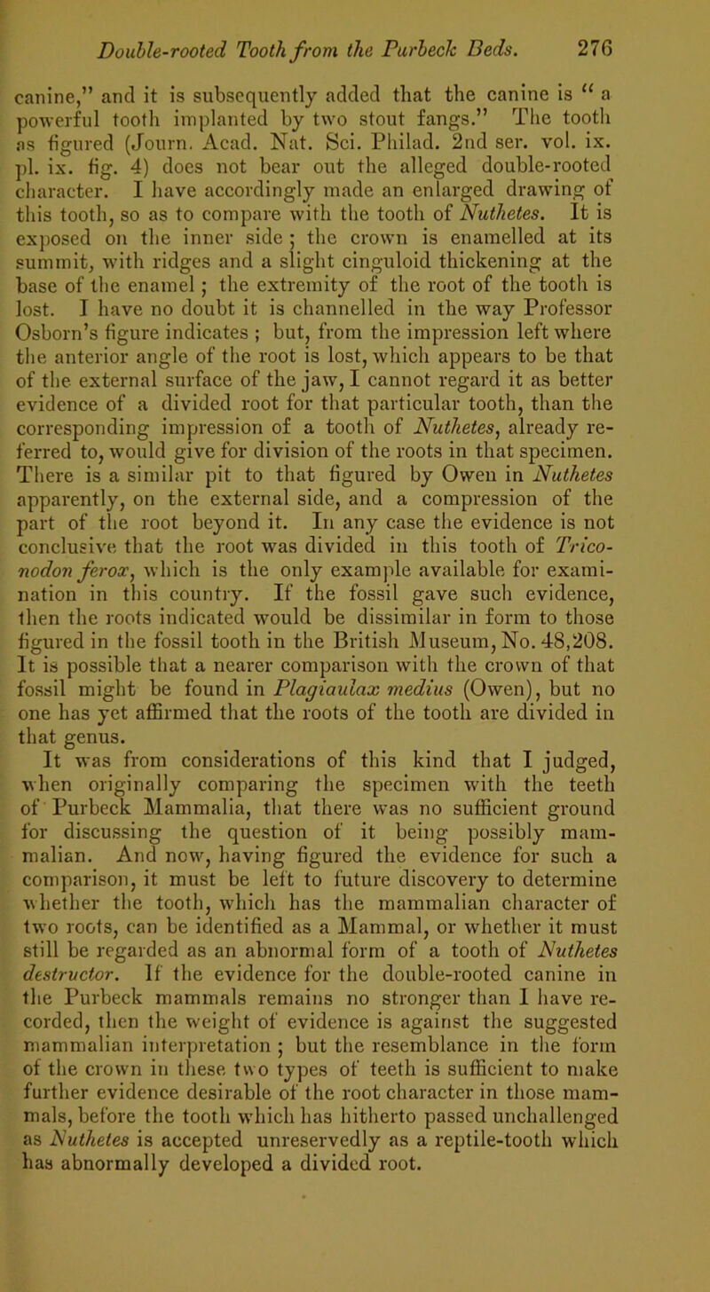 canine,” and it is subsequently added that the canine is “ a powerful tooth implanted by two stout fangs.” The tooth as figured (Journ. Acad, Nat. Sci. Philad. 2nd ser. vol. ix, pi. ix. fig. 4) does not bear out the alleged double-rooted character. I have accordingly made an enlarged drawing of this tooth, so as to compare with the tooth of Nuthetes. It is exposed on the inner side ; the crown is enamelled at its summit, with ridges and a slight cinguloid thickening at the base of the enamel ; the extremity of the root of the tooth is lost. I have no doubt it is channelled in the way Professor Osborn’s figure indicates ; but, from the impression left where the anterior angle of the root is lost, which appears to be that of the external surface of the jaw, I cannot regard it as better evidence of a divided root for that particular tooth, than the corresponding impression of a tooth of Nuthetes, already re- ferred to, would give for division of the roots in that specimen. There is a similar pit to that figured by Owen in Nuthetes apparently, on the external side, and a compression of the part of the root beyond it. In any case the evidence is not conclusive that the root was divided in this tooth of Trico- nodon ferooc, which is the only example available for exami- nation in this country. If the fossil gave such evidence, then the roots indicated would be dissimilar in form to those figured in the fossil tooth in the British Museum, No. 48,208. It is possible that a nearer comparison with the crown of that fossil might be found in Plagiaulax medius (Owen), but no one has yet affirmed that the roots of the tooth are divided in that genus. It was from considerations of this kind that I judged, when originally comparing the specimen with the teeth of Purbeck Mammalia, that there was no sufficient ground for discussing the question of it being possibly mam- malian. And now, having figured the evidence for such a comparison, it must be left to future discovery to determine whether the tooth, which has the mammalian character of two roots, can be identified as a Mammal, or whether it must still be regarded as an abnormal form of a tooth of Nuthetes destructor. If the evidence for the double-rooted canine in the Purbeck mammals remains no stronger than I have re- corded, then the weight of evidence is against the suggested mammalian interpretation ; but the resemblance in tlie form of the crown in these two types of teeth is sufficient to make further evidence desirable of the root character in those mam- mals, before the tooth which has hitherto passed unchallenged as Nuthetes is accepted unreservedly as a reptile-tooth which has abnormally developed a divided root.