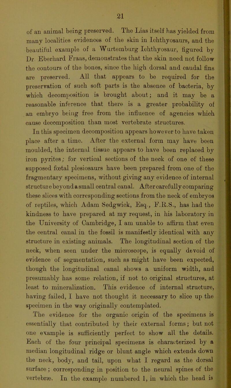 of an animal being preserved. The Lias itself has yielded from many localities evidences of the skin in Ichthyosaurs, and the beautiful example of a Wurtemburg Ichthyosaur, figured by Dr Eberhard Fraas, demonstrates that the skin need not follow the contours of the bones, since the high dorsal and caudal fins are preserved. All that appears to be required for the preservation of such soft parts is the absence of bacteria, by which decomjtosition is brought about; and it may be a reasonable inference that there is a greater probability of an embryo being free from the influence of agencies which cause decomposition than most vertebrate structures. In this specimen decomposition appears however to have taken place after a time. After the external form may have been moulded, the internal tissue appears to have been replaced by iron pyrites; for vertical sections of the neck of one of these supposed foetal plesiosaurs have been prepared from one of the fragmentary specimens, without giving any evidence of internal structure beyond a small central canal. After carefully comparing these slices with corresponding sections from the neck of embryos of reptiles, which Adam Sedgwick, Esq., F.R.S., has had the kindness to have prepared at my request, in his laboratory in the University of Cambridge, I am unable to affirm that even the central canal in the fossil is manifestly identical with any structure in existing animals. The longitudinal section of the neck, when seen under the microscope, is equally devoid of evidence of segmentation, such as might have been expected, though the longitudinal canal shows a uniform width, and presumably has some relation, if not to original structures, at least to mineralization. This evidence of internal structure, having failed, I have not thought it necessary to slice up the specimen in the way originally contemplated. The evidence for the organic origin of the specimens is essentially that contributed by their external forms; but not one example is sufficiently perfect to show all the details. Each of the fom’ principal specimens is characterized by a median longitudinal ridge or blunt angle which extends down the neck, body, and tail, upon what I regard as the dorsal surface ; corresponding in position to the neural spines of the vertebrae. In the example numbered 1, in which the head is