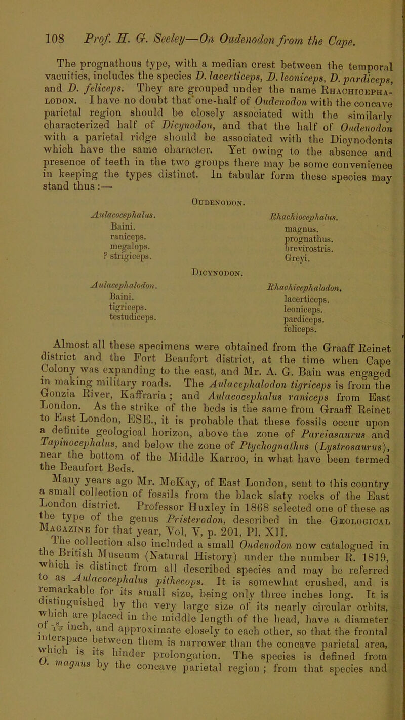 The prognathous type, with a median crest between the temporal vacuities, includes the species D. lacerticeps, D. leoniceps, D. pardiceps, and D. feliceps. They are grouped under the name Rhachickpha- lodon. I have no doubt that*one-half of Oudenodon with the concave parietal region should be closely associated with the similarly characterized half of Dicynodon, and that the half of Oudenodon with a parietal ridge should be associated with the Dicynodonts which have the same character. Yet owing to the absence and presence of teeth in the two groups there may be some convenience in keeping the types distinct. In tabular form these species may stand thus:— Oudenodon. RhaehiocepJialus. magnus. prognatlius. brevirostris. G-reyi. Dicynodon. Rhachiccphalodon. lacerticeps. leoniceps. pardiceps. feliceps. Almost all these specimens were obtained from the Graaff Reinet district and the Fort Beaufort district, at the time when Cape Colony was expanding to the east, and Mr. A. G. Bain was engaged in making military roads. The Aulacephalodon tiyriceps is from the Gonzia River, Kaffraria ; and Anlacocephalus raniceps from East London. As the strike of the beds is the same from Graaff Reinet to East London, ESE., it is probable that these fossils occur upon a definite geological horizon, above the zone of Pareiasaurus and Tapmocephalm, and below the zone of Ptychognathns (Lystrosaurus), near the bottom of the Middle Karroo, in what have been termed the Beaufort Beds. Maiy years ago Mr. McKay, of East London, sent to this country a small collection of fossils from the black slaty rocks of the East onc on district. Professor Huxley in 18G8 selected one of these as _ie type of the genus Prtsterodon, described in the Geological Magazine for that year, Vol, V, p. 201, PI. XII. . collection also included a small Oudenodon now catalogued in the British Museum (Natural History) under the number R. 1819, w no is distinct from all described species and may be referred o ns Anlacocephalus pithecops. It is somewhat crushed, and is lemai ’lule for its small size, being only three inches long. It is is mguished by the very large size of its nearly circular orbits, w iic i ai e placed in the middle length of the head, have a diameter o 17 inch .arid approximate closely to each other, so that the frontal n eispace between them is narrower than the concave parietal area, w nc i is its hinder prolongation. The species is defined from unigutis jy the concave parietal region ; from that species and Anlacocephalus. Baini. raniceps. megnlops. ? strigiceps. A ulacephalodon. Baiui. tigriceps. testudiceps.