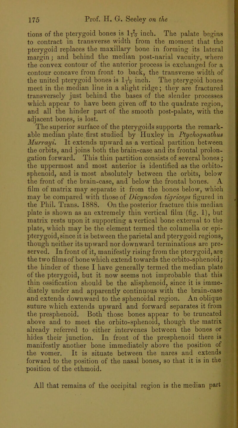 tions of the pterygoid bones is lT7jj- inch. The palate begins to contract in transverse width from the moment that the pterygoid replaces the maxillary bone in forming its lateral margin; and behind the median post-narial vacuity, where the convex contour of the anterior process is exchanged for a contour concave from front to back, the transverse width of the united pterygoid bones is l-pg- inch. The pterygoid bones meet in the median line in a slight ridge; they are fractured transversely just behind the bases of the slender processes which appear to have been given off to the quadrate region, and all the hinder part of the smooth post-palate, with the adjacent bones, is lost. The superior surface of the pterygoids supports the remark- able median plate first studied by Huxley in Ptychognathus Murrayi. It extends upward as a vertical partition between the orbits, and joins both the brain-case and its frontal prolon- gation forward. This thin partition consists of several bones ; the uppermost and most anterior is identified as the orbito- sphenoid, and is most absolutely between the orbits, below the front of the brain-case, and below the frontal bones. A film of matrix may separate it from the bones below, which may be compared with those of Dieynodon tigriceps figured in the Phil. Trans. 188S. On the posterior fracture this median plate is shown as an extremely thin vertical film (fig. 1), but matrix rests upon it supporting a vertical bone external to the plate, which may be the element termed the columella or epi- pterygoid, since it is between the parietal and pterygoid regions, though neither its upward nor downward terminations are pre- served. In front of it, manifestly rising from the pterygoid, are the two films of bone which extend towards the orbito-sphenoid; the hinder of these I have generally termed the median plate of the pterygoid, but it now seems not improbable that this thin ossification should be the alisphenoid, since it is imme- diately under and apparently continuous with the brain-case and extends downward to the sphenoidal region. An oblique suture which extends upward and forward separates it from the presphenoid. Both those bones appear to be truncated above and to meet the orbito-sphenoid, though the matrix already referred to either intervenes between the bones or hides their junction. In front of the presphenoid there is manifestly another bone immediately above the position of the vomer. It is situate between the nares and extends forward to the position of the nasal bones, so that it is in the position of the ethmoid. All that remains of the occipital region is the median part