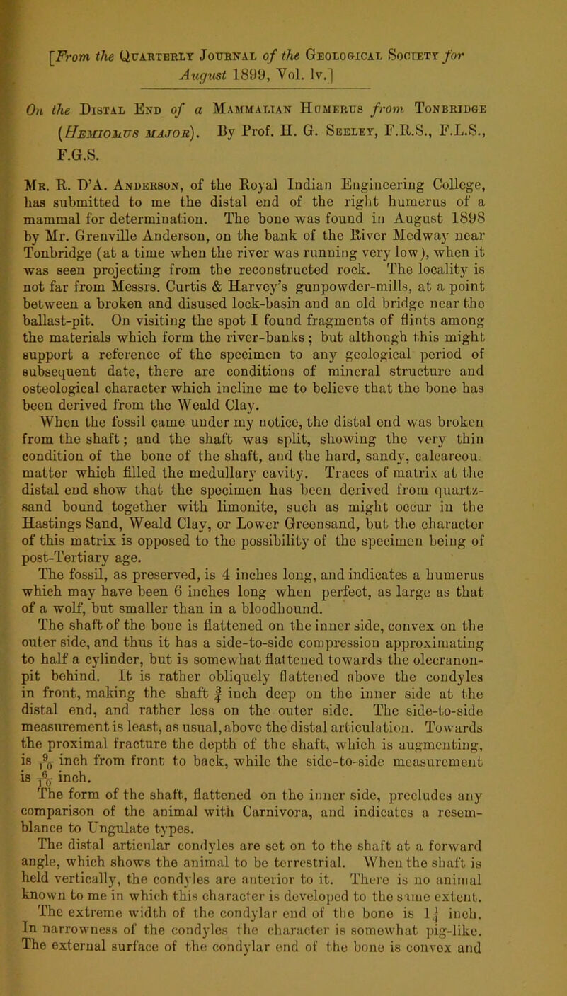 [From the Quarterly Journal of the Geological Society/or August 1899, Vol. Iv. | On the Distal End of a Mammalian Hdmerus from Tonbridge [HEiiioiiVS major). By Prof. H. G. Seeley, F.R.S., F.L.S., F.G.S. Mr. R. D’A. Anderson, of the Royal Indian Engineering College, has submitted to me the distal end of the right humerus of a mammal for determination. The bone was found in August 1898 by Mr. GrenvLllo Anderson, on the bank of the River Medway near Tonbridge (at a time when the river was running very low), when it was seen projecting from the reconstructed rock. The locality is not far from Messrs. Curtis & Harvey’s gunpowder-mills, at a point between a broken and disused lock-basin and an old bridge near the ballast-pit. On visiting the spot I found fragments of flints among the materials which form the river-banks; but although this might support a reference of the specimen to any geological period of subsequent date, there are conditions of mineral structure and osteological character which incline me to believe that the bone has been derived from the Weald Clay. When the fossil came under my notice, the distal end was broken from the shaft; and the shaft was split, showing the very thin condition of the bone of the shaft, and the hard, sandy, caleareou. matter which filled the medullary cavity. Traces of matrix at the distal end show that the specimen has been derived from (]uartz- sand bound together with limonite, such as might occur in the Hastings Sand, Weald Clay, or Lower Greensand, but the character of this matrix is opposed to the possibility of the specimen being of post-Tertiary age. The fossil, as preserved, is 4 inches long, and indicates a humerus which may have been 6 inches long when perfect, as large as that of a wolf, but smaller than in a bloodhound. The shaft of the bone is flattened on the inner side, convex on the outer side, and thus it has a side-to-side compression approximating to half a cylinder, but is somewhat flaltened towards the olecranon- pit behind. It is rather obliquely flattened above the condyles in front, making the shaft | inch deep on the inner side at the distal end, and rather less on the outer side. The side-to-side measurement is least, as usual, above the distal articulation. Towards the proximal fracture the depth of the shaft, which is augmenting, is inch from front to back, while the side-to-side measurement is inch. The form of the shaft, flattened on the inner side, precludes any comparison of the animal with Carnivora, and indicates a resem- blance to Ungulate types. The distal articular condyles are set on to the shaft at a forward angle, which shows the animal to be terrestrial. When the shaft is held vertically, the condyles are anterior to it. There is no animal known to me in which this character is developed to the s uuc extent. The extreme width of the condylar end of the bono is 1 j inch. In narrowness of the condyles the character is somewhat ])ig-likc. The external surface of the condylar end of the bono is convex and