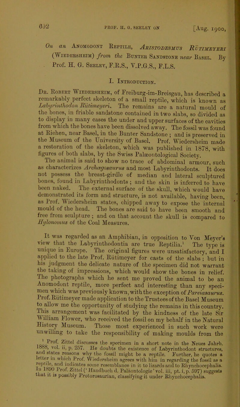 002 0)1 an Anomodont Reptile, Aristodesmus R'utimeyeri (Wiedersheim) from the Renter Sandstone near Basel. By Prof. H. G. Seeley, F.R.S., V.P.G.S., F.L.S. I. Introduction. Dr. Robert Wiedersheim, of Freiburg-im-Breisgau, has described a remarkably perfect skeleton of a small reptile, which is known as Labyrinthodon Riitimeyeri. The remains are a natural mould of the bones, in friable sandstone contained in two slabs, so divided as to display in many cases the under and upper surfaces of the cavities from which the bones have been dissolved away. Tho fossil was found at Riehen, near Basel, in the Bunter Sandstone ; and is preserved in the Museum of the University of Basel. Prof. Wiedersheim made a restoration of the skeleton, which was published in 1878, with figures of both slabs, by the Swiss Palaeontological Society. llio animal is said to show no trace of abdominal armour, such as characterizes Archcegosaurus and most Labyrinthodonts. It does not possess the breast-girdle of median and lateral sculptured bones, found in Labyrinthodonts ; and the skin is inferred to have been naked. The external surface of the skull, which would have demonstrated its form and structure, is not available, having been, as 1 rof. Wiedersheim states, chipped away to expose the internal mould of the head. Tho bones are said to have been smooth and free from sculpture ; and on that account the skull is compared to Hybnomus of the Coal Measures. _ It was regarded as an Amphibian, in opposition to Yon Meyer's viow that the Labyrinthodontia are true Reptilia.1 The type is unique in Europe. The original figures were unsatisfactory, and I applied to the late Prof. Riitimeyer for casts of the slabs ; but in bis judgment the delicate nature of the specimen did not warrant the taking of impressions, which would show the bones in relief. The photographs which he sent me proved the animal to be an Anomodont reptile, more perfect and interesting than any speci- men which was previously known, with the exception of Pareiasaurus. Prof. Riitimeyer made application to the Trustees of the Basel Museum to allow me the opportunity of studying the remains in this country. This, arrangement was facilitated by the kindness of the late Sir W illiam I lower, who received the fossil on my behalf in the Natural History Museum. Those most experienced in such work were unwilling to take the responsibility of making moulds from the issa^1'0^’ d*fCUBSe8 die specimen in a short note in the Neues Jahrb. I008, vol. ii, p. 257. He doubts the existence of Labyrinthodont structures, and states reasons why the fossil might be a reptile. Further, he quotes a letter in which Prof. Wiedersheim agrees with him in regarding the fossil as a indicates some resemblance in it to lizards and to Rhynchocephalia. In 1890 Prof. Zittel (‘ Handbuch d. Palaontologie ’ vol. iii, pt. i, p. 597) suggests that it is possibly Protorosauriau, classifying it under Rhynchocephalia.