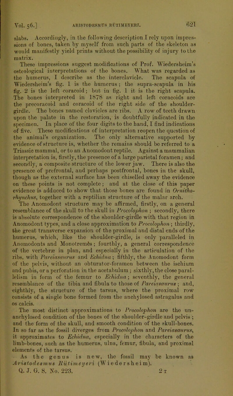 Vol. 56.] ABISTODF.S.MPS RUTIMETERI. f>21 slabs. Accordingly, in the following description I rely upon impres- sions of bones, taken by myself from such parts of the skeleton as would manifestly yield prints without the possibility of injury to the matrix. These impressions suggest modifications of Prof. Wiedersheim’s osteological interpretations of the bones. What was regarded as the humerus, I describe as the interclavicle. The scapula of Wiedersheim’s fig. 1 is the humerus; the supra-scapula in his fig. 2 is the left coracoid; but in fig. 1 it is the right scapula. The bones interpreted in 1878 as right and left coracoids are the precoracoid and coracoid of the right side of the shoulder- girdle. The bones named clavicles are ribs. A row of teeth drawn upon the palate in the restoration, is doubtfully indicated in the specimen. In place of the four digits to the hand, 1 find indications of five. These modifications of interpretation reopen the question of the animal’s organization. The only alternative supported by evidence of structure is, whether the remains should bo referred to a Triassic mammal, or to an Anomodont reptile. Against a mammalian interpretation is, firstly, the presence of a large parietal foramen; and secondly, a composite structure of the lower jaw. There is also the presence of prefrontal, and perhaps postfrontal, bones in the skull, though as the external surface has been chiselled away the evidence on these points is not complete; and at the close of this paper evidence is adduced to show that those bones are found in Ornitho- rhynchus, together with a reptilian structure of the malar arch. The Anomodont structure may be affirmed, firstly, on a general resemblance of the skull to the skull in Procolophon ; secondly, there is absolute correspondence of the shoulder-girdle with that region in Anomodont types, and a close approximation to Procolophon ; thirdly, the great transverse expansion of the proximal and distal ends of the humerus, which, like tho shoulder-girdle, is only paralleled in Anomodonts and Monotremes ; fourthly, a general correspondence of the vertebrae in plan, and especially in the articulation of the ribs, with Pareiasanrus and Echidna; fifthly, the Anomodont form of the pelvis, without an obturator-foramen between the ischium and pubis, or a perforation in the acetabulum ; sixthly, the close paral- lelism in form of the femur to Echidna; seventhly, the general resemblance of the tibia and fibula to those of Pareiascturus ; and, eighthly, the structure of the tarsus, where the proximal row consists of a single bone formed from the anchylosed astragalus and os calcis. The most distinct approximations to Procolophon are tho un- anchylosed condition of the bones of the shoulder-girdle and pelvis ; and the form of the skull, and smooth condition of the skull-bones. In so far as the fossil diverges from Procolophon and Pareiasanrus*, it approximates to Echidna, especially in the characters of the limb-bones, such as the humerus, ulna, femur, fibula, and proximal elements of the tarsus. As the genus is new, tho fossil may be known as Arisloclesmus llutimeyeri (W i e de r sh ei m). Q. J. G. S. No. 223, 2 t