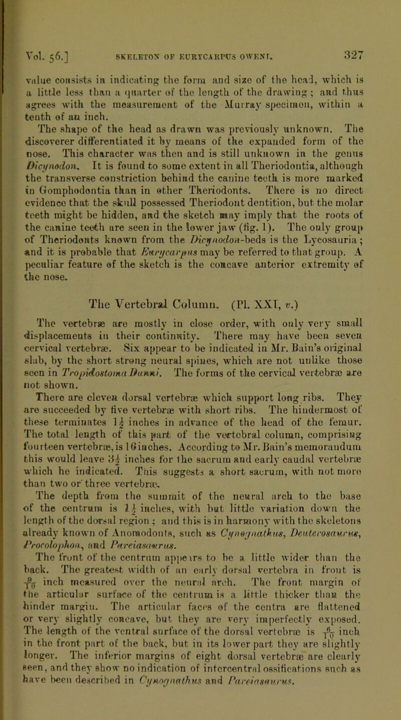 value consists in indicating the form and size of the head, which is a little less than a quarter of the length of the drawing ; and thus agrees with the measurement of the Murray specimen, within a tenth of an inch. The shape of the head as drawn was previously unknown. The discoverer differentiated it hy means of the expanded form of the nose. This character was then and is still unknown in the genus Dicynodon. It is found to some extent in all Theriodoutia, although the transverse constriction behind the canine teeth is more marked in Gomphodontia than in other Theriodonts. There is no direct evidence that the skull possessed Theriodont dentition, but the molar teeth might be bidden, and the sketch may imply that the roots of the canine teeth are seen in the lower jaw (fig. 1). The only group of Theriodonts known from the Dicynodon-beds is the Lycosauria; and it is probable that Ear year pus may be referred to that group. A peculiar feature ef the sketch is the concave anterior extremity of the nose. The Vertebral Column. (PI. XXI, v.) The vertebrae are mostly in close order, with only very small displacements in their continuity. There may have been seven cervical vertebrae. Six appear to be indicated in Mr. Bain’s original slab, by the short strong neural spines, which are not unlike those seen in Tropidostoma Dtmni. The forms of the cervical vertebrae are not shown. There are eleven dorsal vertebra; which support long ribs. They are succeeded by five vertebrae with short ribs. The hiudermost of these terminates 1 \ inches in advance of the head of the femur. The total length of this part of the vertebral column, comprising fourteen vertebra;, is 1 flinches. According to Mr. Bain’s memorandum this would leave 34 inches for the sacrum and early caudal vertebrae which he indicated. This suggests a short sacrum, with not moro than two or' three vertebrae. The depth from the summit of the neural arch to the base of the centrum is 14 inches, with but little variation down the length of the dorsal region ; and this is in harmony with 1 he skeletons already known of Anoraodonts, such as Cynoynathus, Deuterosaurm, Procoloplion, and Pareiasamrus. The front of the centrum appe irs to be a little wider than the back. The greatest width of an early dorsal vertebra in front is inch measured over the neural arch. The front margin of the articular surface of the centrum is a little thicker than the hinder margin. The articular faces of the centra are flattened or very slightly concave, but they are very imperfectly exposed. The length of the ventral surface of the dorsal vertebrae is inch in the front part of the back, but in its lower part they are slightly longer. The inferior margins of eight dorsal vertebrae' are clearly seen, and they show no indication of intercentral ossifications such as have been described in Cynoynathus and Pareiasaurus.