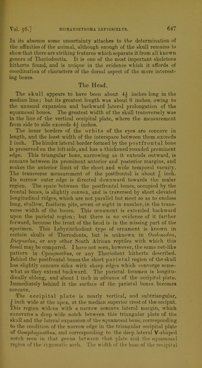 In its absence some uncertainty attaches to the determination of the aflSnitiesof the animal, although enough of the skull remains to show that there are striking features which separate it from all known genera of Theriodontia. It is one of the most important skeletons hitherto found, and is unique in the evidence which it affords of coordination of characters of the dorsal aspect of the more interest- ing bones. The Head. The skull appears to have been about 4| inches long in the median line; but its greatest length was about 6 inches, owing to the unusual expansion and backward lateral prolongation of the squamosal boues. The greatest width of the skull transversely was in the line of the vertical occipital plate, where the measurement from side to side exceeds 4^ inches. Tbe inner borders of the orbits of the ej^es are concave in length, and the least width of the interspace between them exceeds 1 inch. The hinder lateral border formed by the postfrontal bone is preserved on the leftside, and has a thickened rounded prominent edge. This triangular bone, narrowing as it extends outward, is concave between its prominent anterior and posterior margins, and makes the anterior limit of the short and wide temporal vacuity. The transverse measurement of the postfrontal is about J inch. Its narrow outer edge is directed downward towards the malar region. The space between the postfrontal bones, occupied by the frontal bones, is slightly convex, and is traversed by short elevated longitudinal ridges, which are not parallel but meet so as to enclose long, shallow, fusiform pits, seven or eight in number, in the trans- verse width of the bones. This ornament is extended backward upon the parietal region; but there is no evidence of it farther forward, because the front of the head is in the missing part of tbe specimen. This Labyrinthodont type of ornament is known in certain skulls of Theriodonts, but is unknown in Oitdmodon, Dicynodon, or any other South African reptiles with which this fossil may be compared. I have not seen, however, the same net-like pattern in Cynoynathus, or any Theriodont hitherto described, liehind the postfrontal bones the short parietal region of the skull has slightly concave sides with sharp edges which converge some- what as they extend backward. The parietal foramen is longitu- dinally oblong, and about 1 inch in advance of the occipital plate. Immediately behind it the surface of the parietal bones becomes concave. The occipital plate is nearly vertical, and subtriangular, ^ inch wide at the apex, at the median superior crest of the occiput. This region widens with a narrow concave lateral margin, which e.vcavates a deep wide notch between this triangular jdate of the skull and the lateral expansion of the squamosal bone, correspoiiding to the condition of the narrow edge in the triangular occipital plate of Gomphognathus, and corresponding to the deep lateral V-sha])ed notch seen in that genua between that jilate and the squamosal region of the zygomatie arch. The width of the base of the occipital