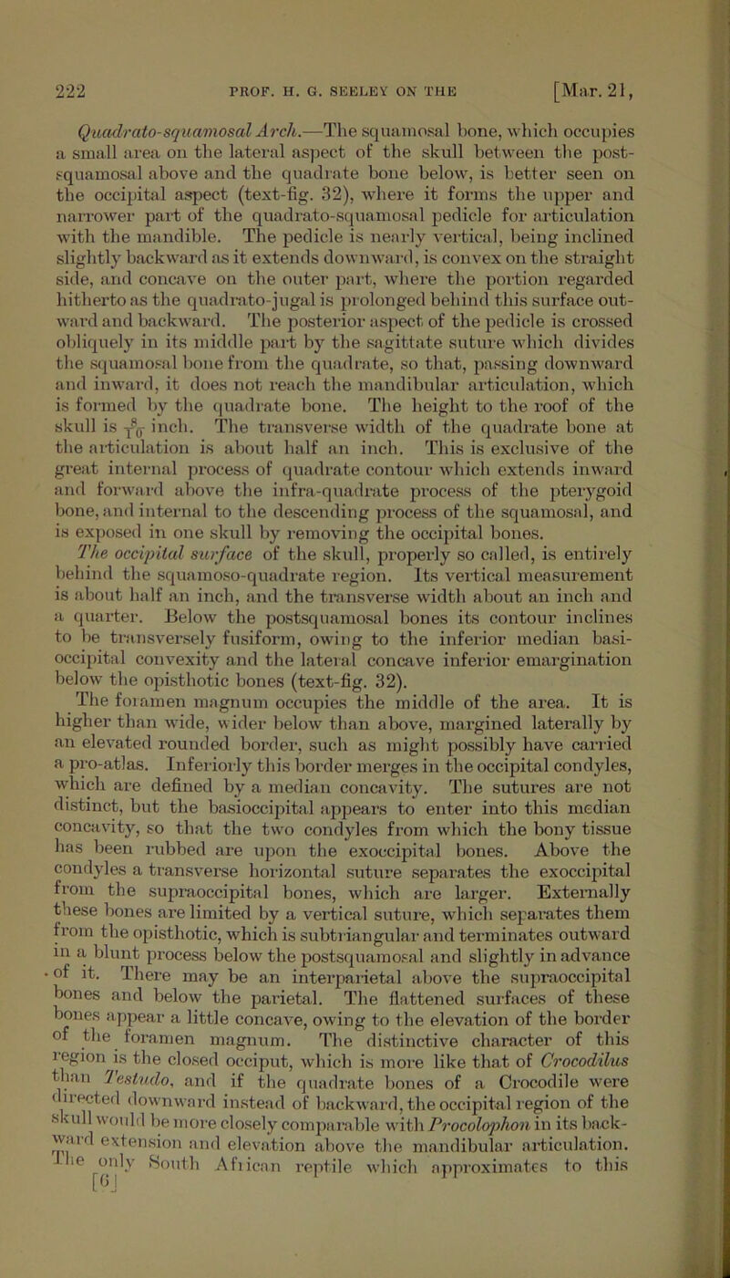 Quadrato-squamosal Arch.—The squamosal bone, which occupies a small area on the lateral aspect of the skull between the post- squamosal above and the quadrate bone below, is better seen on the occipital aspect (text-fig. 32), where it forms the upper and narrower part of the quadrato-squamosal pedicle for articulation with the mandible. The pedicle is nearly vertical, being inclined slightly backward as it extends downward, is convex on the straight side, and concave on the outer part, where the portion regarded hitherto as the quadrato-jugal is prolonged behind this surface out- ward and backward. The posterior aspect of the pedicle is crossed obliquely in its middle part by the sagittate suture which divides the squamosal bone from the quadrate, so that, passing downward and inward, it does not reach the mandibular articulation, which is formed by the quadrate bone. The height to the roof of the skull is yp0- inch. The transverse width of the quadrate bone at the articulation is about half an inch. This is exclusive of the great internal process of quadrate contour which extends inward and forward above the infra-quadrate process of the pterygoid bone, and internal to the descending process of the squamosal, and is exposed in one skull by removing the occipital bones. The occipital surface of the skull, properly so called, is entirely behind the squamoso-quadrate region. Its vertical measurement is about half an inch, and the transverse width about an inch and a quarter. Below the postsquamosal bones its contour inclines to be transversely fusiform, owing to the inferior median basi- occipital convexity and the lateral concave inferior emargi nation below the opisthotic bones (text-fig. 32). The foramen magnum occupies the middle of the area. It is higher than wide, wider below than above, margined laterally by an elevated rounded border, such as might possibly have carried a pro-atlas. Inferiorly this border merges in the occipital condyles, which are defined by a median concavity. The sutures are not distinct, but the basioccipital appears to enter into this median concavity, so that the two condyles from which the bony tissue has been rubbed are upon the exoccipital bones. Above the condyles a transverse horizontal suture separates the exoccipital from the supraoccipital bones, which are larger. Externally these bones are limited by a vertical suture, which separates them from the opisthotic, which is subtriangular and terminates outward m a. blunt process below the postsquamosal and slightly in advance of it. There may be an interparietal above the supraoccipital bones and below the parietal. The flattened surfaces of these bones appear a little concave, owing to the elevation of the border of the foramen magnum. The distinctive character of this region is the closed occiput, which is more like that of Crocodilus than lestudo, and if the quadrate bones of a Crocodile were directed downward instead of backward, the occipital region of the skull would be more closely comparable with Procolophon in its back- w.ud extension and elevation above the mandibular articulation. ie only South Afiican reptile which approximates to this