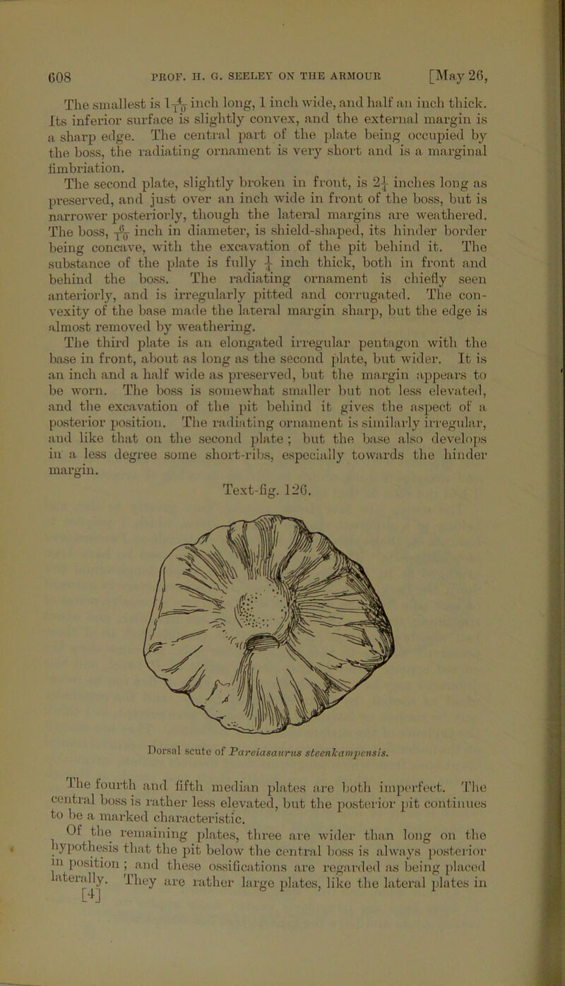 The smallest is 1TI * * 4(T inch long, 1 inch wide, and half an inch thick. Its inferior surface is slightly convex, and the external margin is a sharp edge. The central part of the plate being occupied by the boss, the radiating ornament is very short and is a marginal limbriation. The second plate, slightly broken in front, is 21 inches long as preserved, and just over an inch wide in front of the boss, but is narrower posteriorly, though the lateral margins are weathered. The boss, inch in diameter, is shield-shaped, its hinder border being concave, with the excavation of the pit behind it. The substance of the plate is fully 1 inch thick, both in front and behind the boss. The radiating ornament is chiefly seen anteriorly, and is irregularly pitted and corrugated. The con- vexity of the base made the lateral margin sharp, but the edge is almost removed by weathering. The third pl.ate is an elongated irregular pentagon with the base in front, about as long as the second plate, bnt wider. It is an inch and a half wide as preserved, but the margin appears to be worn. The boss is somewhat smaller but not less elevated, and the excavation of the pit behind it gives the aspect of a posterior position. The radiating ornament is similarly irregular, and like that on the second plate ; but the base also develops in a less degree some short-ribs, especially towards the hinder margin. Text-fig. 126. Dorsal scute of Pareiasaurus steenJcampensis. I he fourth and fifth median plates are both imperfect. The central boss is rather less elevated, but the posterior pit continues to l)o a marked characteristic. Of the remaining plates, three are wider than long on the lypothesis that the pit below the central boss is always posterior jn position ; and these ossifications are regarded as being placed aterally. They are rather large plates, like the lateral plates in