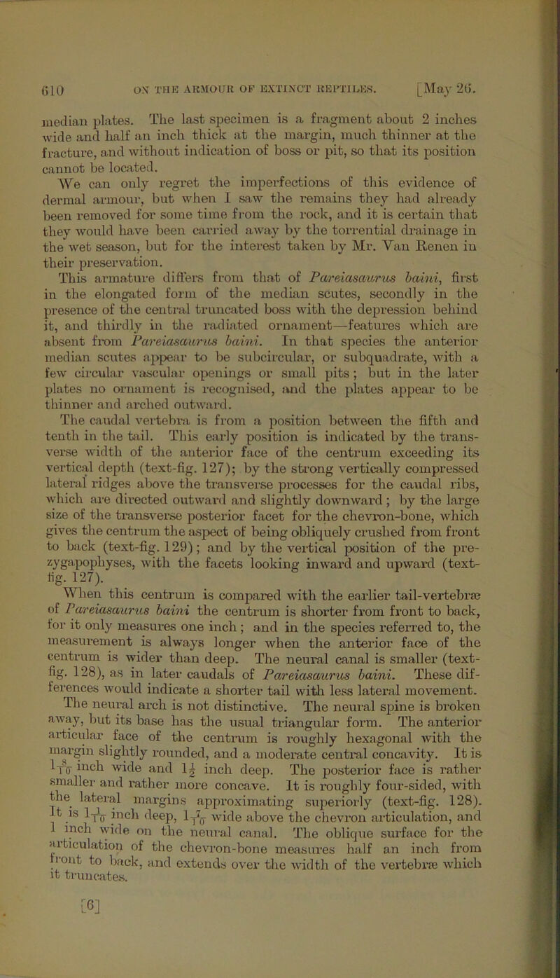 median plates. The last specimen is a fragment about 2 inches wide and half an inch thick at the margin, much thinner at the fracture, and Avithout indication of boss or pit, so that its position cannot be located. We can only regret the imperfections of this evidence of dermal armour, but Avhen I srav the remains they had already been removed for some time from the rock, and it is certain that they Avould have been carried aAAray by the torrential drainage in the Avet season, but for the interest taken by Mr. Van Renen in their preservation. This aiinatnre differs from that of Pareiasaurus baini, first in the elongated form of the median scutes, secondly in the presence of the central truncated boss with the depression behind it, and thirdly in the radiated ornament—features Avliich are absent from Pareiasaurus baini. In that species the anterior median scutes appear to be subcircular, or subquadrate, with a few circular vnseular openings or small pits; but in the later plates no ornament is recognised, and the plates appear to be thinner and arched outward. The caudal vertebra is from a position between the fifth and tenth in the tail. This early position is indicated by the trans- verse width of the anterior face of the centrum exceeding its vertical depth (text-fig. 127); by the strong vertically compressed lateral ridges above the transverse processes for the caudal ribs, which are directed outward and slightly downward ; by the large size of the transverse posterior facet for the chevron-bone, which gives the centrum the aspect of being obliquely crushed from front to back (text-fig. 129) ; and by the vertical position of the pre- zygapophyses, Avith the facets looking inward and upward (text- fig. 127). When this centrum is compared with the earlier tail-vertebrae of Pareiasaurus baini the centrum is shorter from front to back, for it only measures one inch ; and in the species referred to, the measurement is always longer Avhen the anterior face of the centrum is wider than deep. The neural canal is smaller (text- fig. 128), as in later caudals of Pareiasaurus baini. These dif- ferences Avould indicate a shorter tail with less lateral movement. The neural arch is not distinctive. The neural spine is broken aAvay, but its base has the usual triangular form. The anterior articular face of the centrum is roughly hexagonal with the margin slightly rounded, and a moderate central concavity. It is IfV inch wide and 11 inch deep. The posterior face is rather smaller and rather more concave. It is roughly four-sided, Avith the lateral margins approximating superiorly (text-fig. 128). t is 1-jljj. inch deep, 1 -[h Avide above the chevron articulation, and inch Ayide on the neural canal. The oblique surface for the articulatiop of the chevron-bone measures half an inch from i out to back, and extends over the Avidtli of the vertebrae Avhich it truncates.