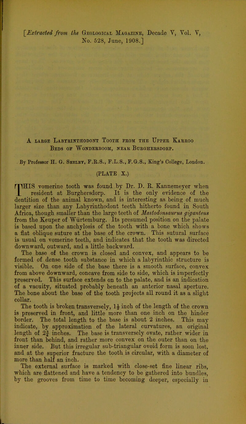 [.Extracted from the Geological Magazine, Decade Y, Vol. V, No. 528, June, 1908.] A LARGE LaBYRINTHODONT ToOTH FROM THE UPPER KaRROO Beds of Wonderboom, near Burghersdorp. By Professor H. G. Seeley, F.R.S., F.L.S., F.G.S., King’s College, London. (PLATE X.) THIS vomerine tooth was found by Dr. D. R. Kannemeyer when resident at Burghersdorp. It is the only evidence of the dentition of the animal known, and is interesting as being of much larger size than any Labyrinthodont teeth hitherto found in South Africa, though smaller than the large teeth of Mastodonsaurus giganteus from the Keuper of Wiirtemburg. Its presumed position on the palate is based upon the anchylosis of the tooth with a bone which shows a flat oblique suture at the base of the crown. This sutural surface is usual on vomerine teeth, and indicates that the tooth was directed downward, outward, and a little backward. The base of the crown is closed and convex, and appears to be formed of dense tooth substance in which a labyrinthic structure is visible. On one side of the base there is a smooth surface, convex from above downward, concave from side to side, which is imperfectly preserved. This surface extends on to the palate, and is an indication of a vacuity, situated probably beneath an anterior nasal aperture. The bone about the base of the tooth projects all round it as a slight collar. The tooth is broken transversely, 1 £ inch of the length of the crown is preserved in front, and little more than one inch on the hinder border. The total length to the base is about 2 inches. This may indicate, by approximation of the lateral curvatures, an original length of 2£ inches. The base is transversely ovate, rather wider in front than behind, and rather more convex on the outer than on the inner side. But this irregular sub-triangular ovoid form is soon lost, and at the superior fracture the tooth is circular, with a diameter of more than half an inch. The external surface is marked with close-set fine linear ribs, which are flattened and have a tendency to be gathered into bundles, by the grooves from time to time becoming deeper, especially in