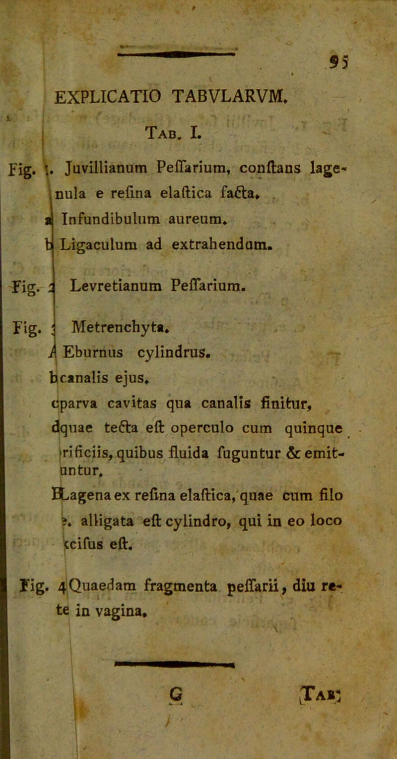 55 EXPLICATIO TABVLARVM, f i- i * Tab. I. Fig. \> Juvillianum Peflariura, conflans lage- nula e refina elaftica fa&a. i Infundibulum aureum, b Ligaculum ad extrahendum. Fig. i Levretianum PefTarium. Fig. : Metrenchyt*. A Eburnus cylindrus, bcanalis ejus, cparva cavitas qua canalis finitur, dquae tefta eft operculo cum quinque frificiis, quibus fluida fuguntur & emit- untur. BLagena ex refina elaftica, quae cum filo ?. alligata eft cylindro, qui in eo loco tcifus eft. Fig. 4 Quaedam fragmenta pellam, diu re- te in vagina. G /