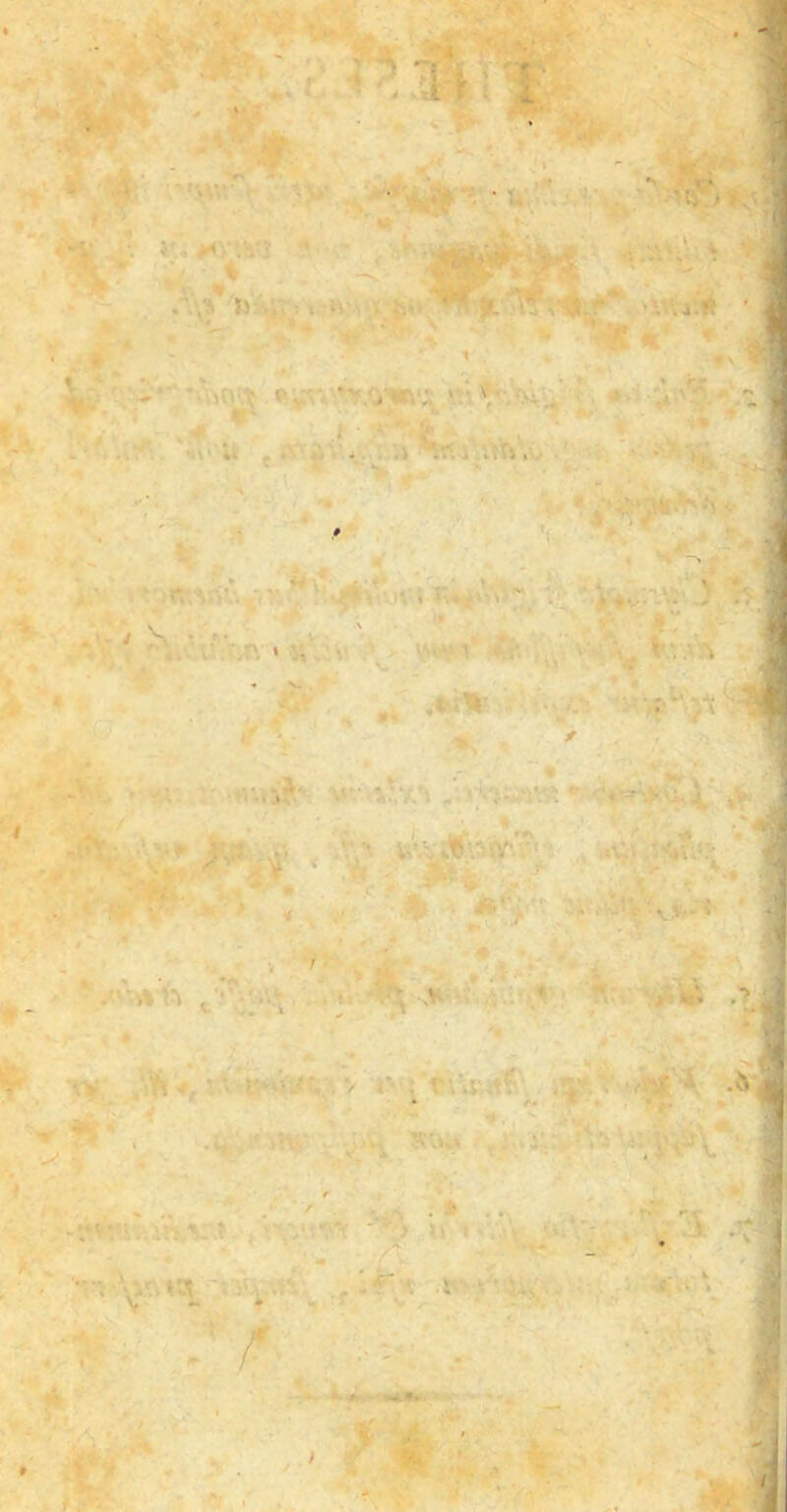 $r> •‘V • 4V, *V.V- - ,V, ■ . iV ■ JE.ST. ,-fl • >} .J. t ■ - ’ > 1 ; fy’ i wv.’, ' , ■>- 1 ■ > %' ■ V' ’ \. ». I . .« W -.}t V . . ■ v% t-l ■ V . ■ ■•'■■ • << «Fi. * re \.\t ' V - ' . t . ..  r\