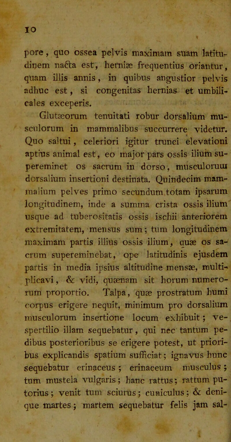 pore, quo ossea pelvis maximam suam latitu^ cliuem uafta est, herniae frequentius oriantur, quam illis annis, in quibus angustior pelvis adhuc est, si congenitas hernias et umbili- cales exceperis. Glutaeorum tenuitati robur dorsalium mu- sculorum in mammalibus succurrere videtur. Quo saltui, celeriori igitur trunci elevationi aptius animal est, eo major pars ossis iliuin su- pereminet os sacrum in dorso, musculorum dorsalium insertioni destinata. Quindecim mam- malium pelves primo secundum totam ipsarum longitudinem, inde a summa crista ossis ilium usque ad tuberositatis ossis ischii anteriorem extremitatem, mensus sum; tum longitudinem maximam partis illius ossis ilium, auae os sa- crum supereminebat, ope latitudinis ejusdem partis in media ipsius altitudine mensae, multi- plicavi , & vidi, quaenam sit horum numero- rum proportio. Talpa, quae prostratum humi corpus erigere nequit, minimum pro dorsalium musculorum insertione locum exhibuit; ve- spertilio illam sequebatur, qui nec tantum pe- dibus posterioribus se erigere potest, ut priori- bus explicandis spatium sufficiat; ignavus hunc sequebatur erinaceus ; erinaceum musculus ; tum mustela vulgaris; hanc rattus; rattum pu- torius; venit tum sciuins; cuniculus; & deni- que martes; martem sequebatur felis jam sal-