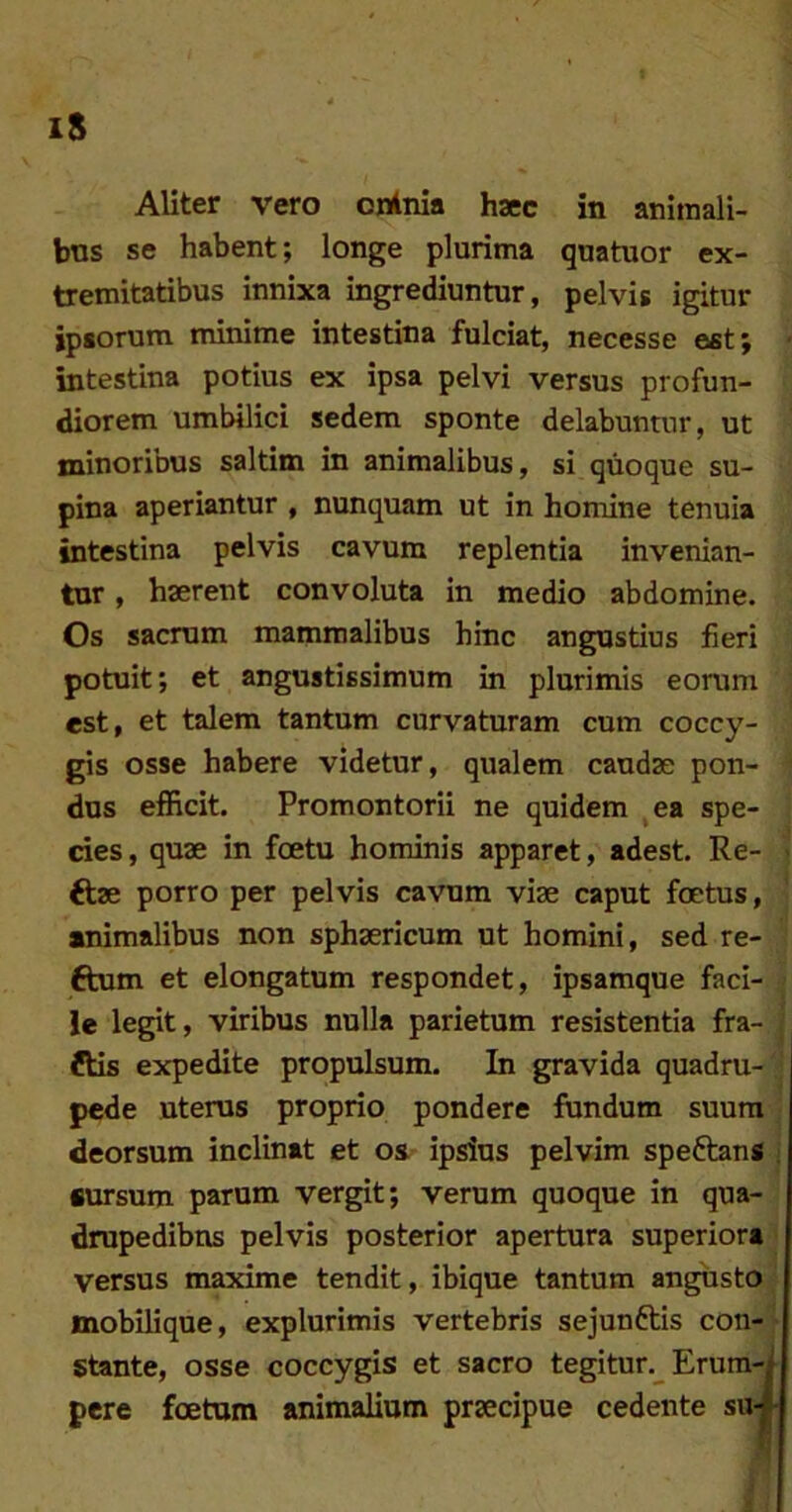 iS Aliter vero oninia haec in animali- bns se habent; longe plurima quatuor ex- tremitatibus innixa ingrediuntur, pelvis igitur ipsorum minime intestina fulciat, necesse est; - intestina potius ex ipsa pelvi versus profun- diorem umbilici sedem sponte delabuntur, ut minoribus saltim in animalibus, si quoque su- pina aperiantur , nunquam ut in homine tenuia intestina pelvis cavum replentia invenian- tur , haerent convoluta in medio abdomine. Os sacrum mammalibus hinc angustius fieri potuit; et angustissimum in plurimis eorum est, et talem tantum curvaturam cum coccy- gis osse habere videtur, qualem caudae pon- dus efficit. Promontorii ne quidem ^ea spe- cies , quae in foetu hominis apparet, adest. Re- < ftae porro per pelvis cavum viae caput foetus, «nimalibus non sphaericum ut homini, sed re- 6tum et elongatum respondet, ipsamque faci- le legit, viribus nulla parietum resistentia fra- j ftis expedite propulsum. In gravida quadru- ■ pede uterus proprio pondere fundum suum deorsum inclinat et os ipsius pelvim speftans i «ursum parum vergit; verum quoque in qua- drupedibus pelvis posterior apertura superiora versus maxime tendit, ibique tantum angusto mobilique, explurimis vertebris sejunftis con- ► Stante, osse coccygis et sacro tegitur._^ Erura-^ pere foetum animalium praecipue cedente su-j I i i :