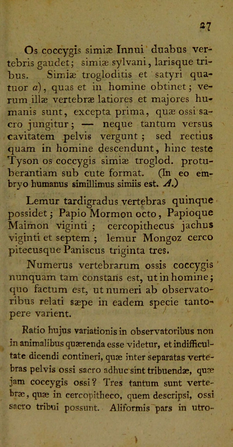 Os coccygis simizE Innui' duabus ver- tebris gaudet; simiae sylvani, larisque tri- bus. Simiae trogloditis et satyri qua- tuor a), quas et in homine obtinet; ve- rum illae vertebrae latiores et majores hu- manis sunt, excepta prima, quae ossi sa- cro jungitur; — neque tantum versus cavitatem pelvis vergunt ; sed rectius quam in homine descendunt, hinc teste Tyson os coccygis simiae troglod. protu- berandam sub cute format. (In eo em- bryo humanus simillimus simiis est. Lemur tardigradus vertebras quinque possidet; Papio Mormon octo, Papioque Maimon viginti ; cercopithecus jachus viginti et septem ; lemur Mongoz cereo pitecusque Paniscus triginta tres. Numerus vertebrarum ossis coccygis ' nunquam tam constans est, ut in homine; quo factum est, ut numeri ab observato- ribus relati saepe in eadem specie tanto- pere varient. Ratio hujus variationis in observatoribus non in animalibus quaerenda esse videtur, et indifficul- tate dicendi contineri, quae inter separatas verte- bras pelvis ossi sacro adhuc sint tribuendae, quae jam coccygis ossi? Tres tantum sunt verte- brae , quae in cercopitheco, quem descripsi, ossi sacro tribui possunt. AHformis'pars in utro-