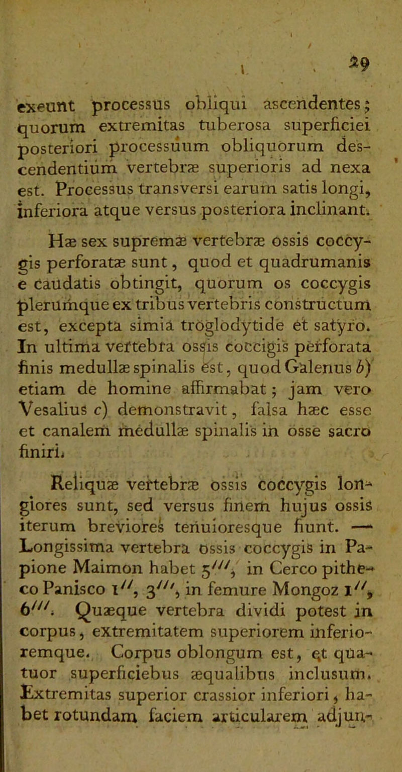 l 59 exeunt processus obiiqiu ascendentes; quorum extremitas tuberosa superficiei posteriori processuum obliquorum des- cendentium vertebrae superioris ad nexa est. Processus transversi earurn satis longi, inferiora atque versus posteriora inclinanti Hae sex suprem* vertebrae ossis coccy- gis perforatae sunt, quod et quadrumanis e Caudatis obtingit, quorum os coccygis plerumque ex tribus vertebris constructum est, excepta simia trOglodytide et satyro. In ultima veftebra ossis coccigis pefforata finis medullae spinalis est, quod Galenus Z») etiam de homine affirmabat; jam vero Vesalius c) demonstravit, falsa haec esse et canalem rnedullae spinalis in osse sacro finirii Reliquae veftebrae ossis coccygis Ion-* glores sunt, sed versus finem hujus ossis iterum breviores teriuioresque fiunt. — Longissima vertebra ossis coccygis in Pa- pione Maimon habet in Cereo pithe-» co Panisco 1^^, 3^^% in femure Mongoz Quaeque vertebra dividi potest in corpus, extremitatem superiorem inferio- remque. Corpus oblongum est, qt qUa- tuor superficiebus squalibus inclusum, iixtremitas superior crassior inferiori , ha- bet rotundam faciem articularem adjun*'