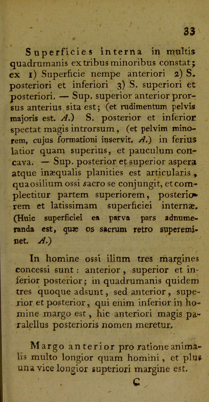 / , Superficies interna in multis quadrumanis ex tribus minoribus constat; ex i) Superficie nempe anteriori 2) S. posteriori et inferiori 3) S. superiori et posteriori, — Sup. superior anterior pror- sus anterius sita est; (et rudimentum pelvis majoris est. S. posterior et inferior spectat magis introrsum, (et pelvim mino- rem, cujus formationi inservit, yl.') in ferius latior quam superius, et pauculum con- cava. — Sup. posterior et superior aspera atque inaequalis planities est articularis , quaosilium ossi jacro se conjungit, et com- plectitur partem superiorem, posterior rem et latissimam superficiei internae, (Huic superficiei ea parva pars adnume- randa est, quae os sacrum retro superemi- net. y^.) In homine ossi ilium tres margines concessi sunt: anterior, superior et in- ferior posterior; in quadrumanis quidem tres quoque adsunt, sed anterior, supe- rior et posterior, qui enim inferior in ho- mine margo est, hic anteriori magis pa- ralellus posterioris nomen meretur. Margo anterior pro ratione anima- lis multo longior quam homini, et pluf una vice longior superiori margine est.