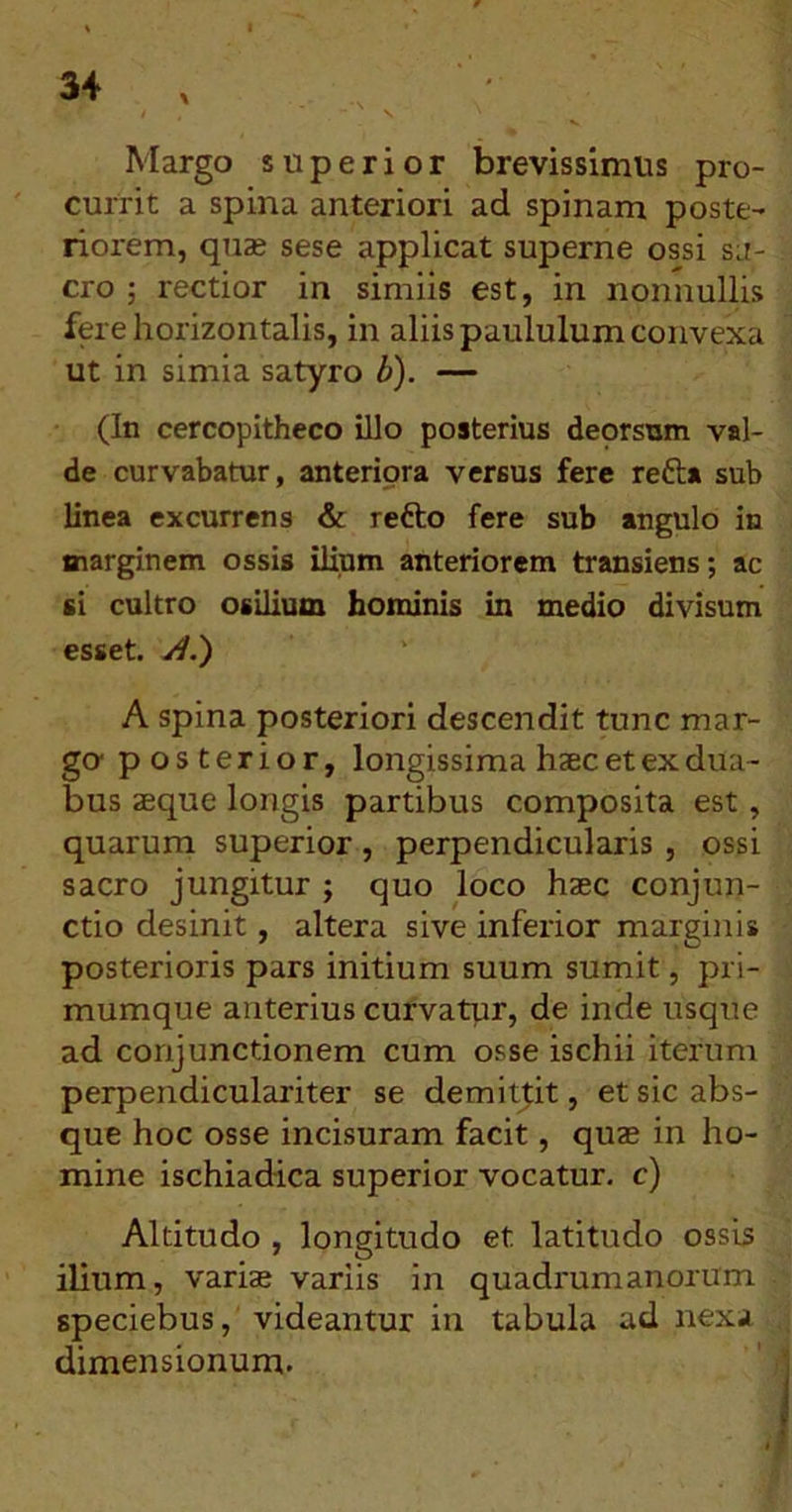 * Margo superior brevissimus pro- currit a spina anteriori ad spinam poste- riorem, qiize sese applicat superne ossi sa- cro ; rectior in simiis est, in nonnullis fere horizontalis, in aliis paululum convexa ut in simia satyro h'). — (In cercopitheco illo posterius deorsum val- de curvabatur, anteriora versus fere refta sub linea excurrens &: refto fere sub angulo in marginem ossis ilium anteriorem transiens; ac si cultro osilium hominis in medio divisum esset. A.') A spina posteriori descendit tunc mar- go- posterior, longissima hsec et ex dua- bus aeque longis partibus composita est, quarum superior , perpendicularis , ossi sacro jungitur ; quo loco haec conjun- ctio desinit, altera sive inferior marginis posterioris pars initium suum sumit, pri- mumque anterius curvatur, de inde usque ad conjunctionem cum osse ischii iterum perpendiculariter se demittit, et sic abs- que hoc osse incisuram facit, quae in ho- mine ischiadica superior vocatur, c) Altitudo , longitudo et latitudo ossis ilium, variae variis in quadrumanoriim speciebus, videantur in tabula ad nexa dimensionum.