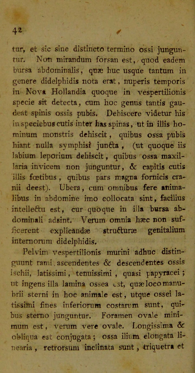 tar, et sic sine distincto termino ossi jungun- tur. Non mirandum forsan est, quod eadem bursa abdominalis, quae huc usque tantum in genere didelphidis nota erat, nuperis temporis in Nova Hollandia quoque in vespertilionis specie sit detecta, cum hoc genus tantis gau- deat spinis ossis pubis. Dehiscere videtur his in speciebus cutis inter has spinas, ut in iUis ho- minum monstris dehiscit, quibus ossa pubis hiant nuUa symphisi junfta , (ut quoque iis labium leporinm dehiscit, quibus ossa maxil- laria invicem non junguntur, & capitis cutis illis foetibus , quibus pars magna fornicis cra- nii deest). Ubera, cum omnibus fere anima- libus in abdomine imo collocata sint, facilius intelleftu est, cur quoque in illa bursa ab- dominali adsint. Verum omnia haec non suf- ficerent explicandae strufturae genitalium internorum didelphidis. Pelvim vespertilionis murini adhuc distin- guunt rami. ascendentes & descendentes ossis ischii, latissimi, tenuissimi , quasi papyracei; ut ingens illa lamina ossea >^st, quae loco manu- brii sterni in hoc animale est, utque ossei la- tissimi fines inferiorum costarum sunt, qui- bus sterno jungantur. Foramen ovale mini- mum est, verum vere ovale. Longissima & obliqua est conjugata; ossa ilium elongata li- nearia , retrorsum inclinata sunt, triquetra et