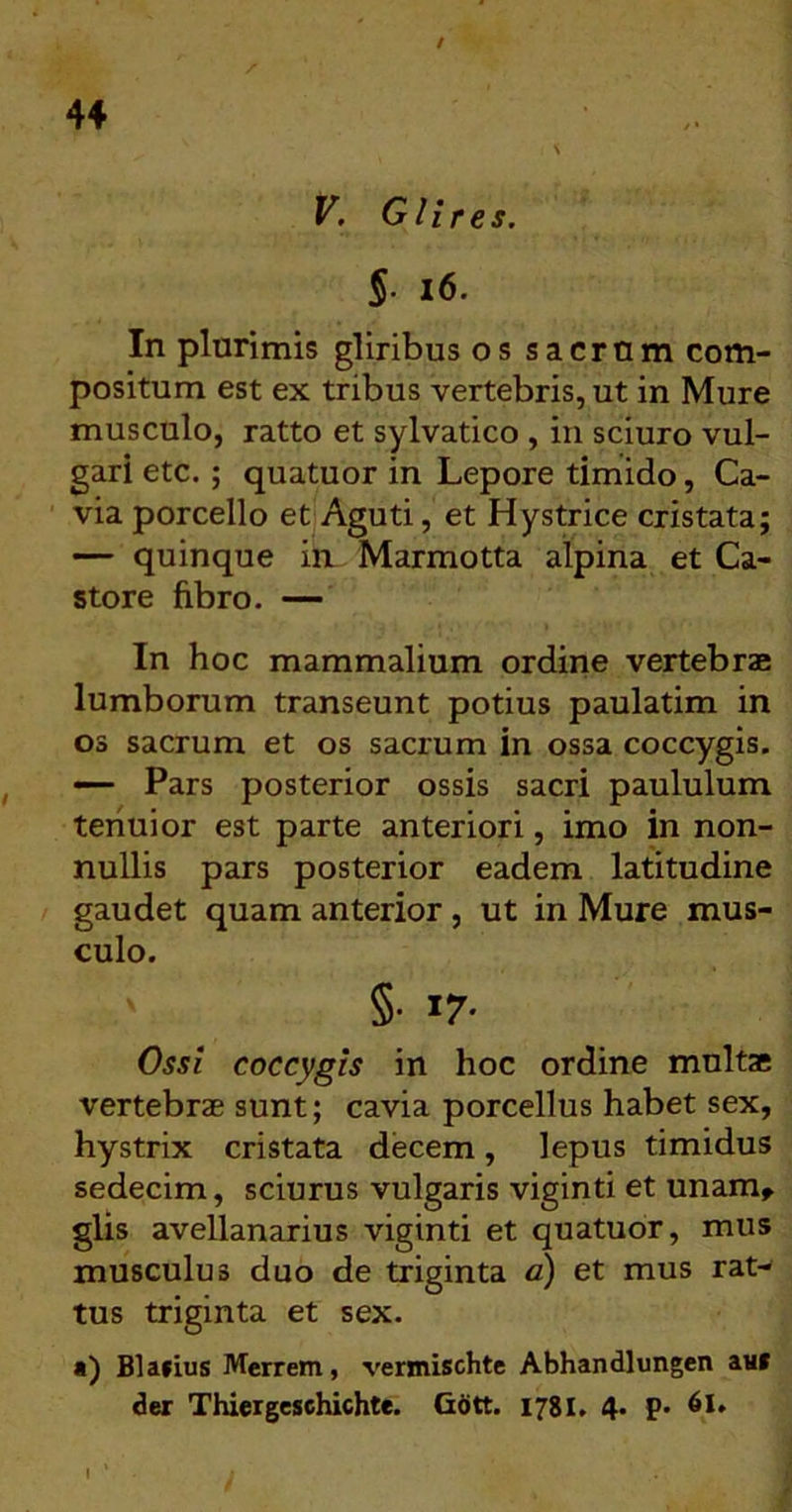 / 44 \ V. Glires. §■ i6. In plurimis gliribus os sacrum com- positum est ex tribus vertebris, ut in Mure musculo, ratto et sylvatico , in sciuro vul- gari etc.; quatuor in Lepore timido, Ga- via porcello et Aguti, et Hystrice cristata; — quinque in. Marmotta alpina et Ca- store fibro. — In hoc mammalium ordine vertebrae lumborum transeunt potius paulatim in 03 sacrum et os sacrum in ossa coccygis. — Pars posterior ossis sacri paululum tenuior est parte anteriori, imo in non- nullis pars posterior eadem latitudine gaudet quam anterior , ut in Mure mus- culo. §• 17* Ossi coccygis in hoc ordine multae vertebrae sunt; cavia porcellus habet sex, hystrix cristata decem, lepus timidus sedecim, sciurus vulgaris viginti et unam^ glis avellanarius viginti et quatuor, mus musculus duo de triginta c) et mus rat- tus triginta et sex. «) Blafius Merrem, vermischtc Abhandlungen aM der Thieigeschichte. Gdtt. 178I. 4< P* ^1« I ‘