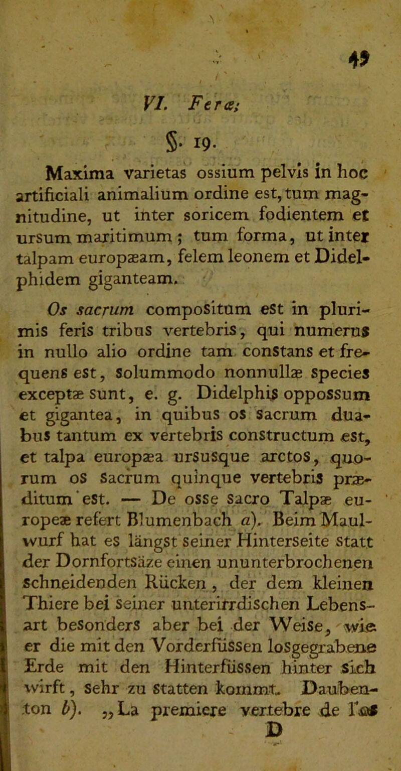 FI. Fere; §• 19- Maxima varietas ossium pelvis in hoc artificiali animalium ordine est, tum mag- nitudine, ut inter soricem fodientem et ursum maritimum ; tum forma, ut inter talpam europasam, felem leonem et Didel- phidem giganteam. Os sacrum compositum eSt in pluri- mis feris tribus vertebris, qui numeru® in nullo alio ordine tam constans et fre- quens est, Solummodo nonnullae species exceptae sunt, e. g. Didelphis oppossum et gigantea, in quibus os Sacrum dua- bus tantum ex vertebris constructum est, et talpa europaea urSusque arctos, quo- rum os Sacrum quinque vertebris prae- ditum’est. — De osse sacro Talpae eu- ropeae refert Blumenbach a). BeimMaul- vvurf hat es langst seiner Hinterseite statt der Dornfortsaze einen ununterbrochenen schneidenden Riicken, der dem kleinen Thiere bei seiner unterirrdischen Lebens- art besonders aber bei der Weise, \yi& er die mit den Vorderflissen loSgegraib.ene Erde mit den Hinterfiissen hinter sich vvirft, sehr zu statten kommt- Dauben- ;ton b). „La premiexe vertebre de