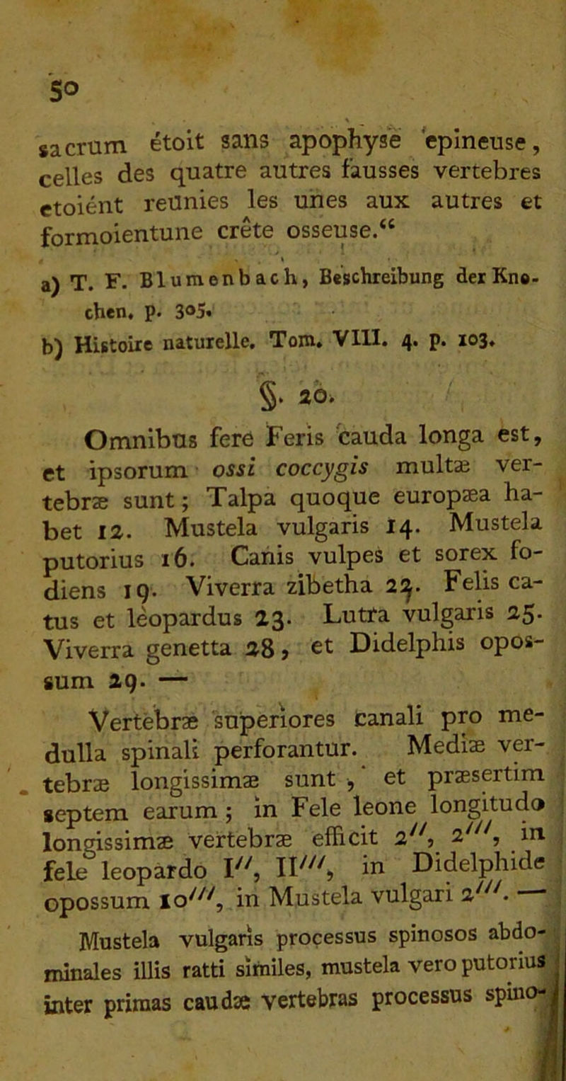 sacrum etoit sans apophyse 'eplneuse, celles des quatre autres fausses vertebres etoient reUnies les unes aux autres et fornaoientuue crete osseuse< a) T. F. Blumenbach, Beschreibung derKn®- chen. p. 3®5. b) Histoixe naturelle. Tom. VIU. 4. p. 103» §• 20* Omnibus fere Feris 'cauda longa est, et ipsorum ossi coccygis multai ver- tebrse sunt; Talpa quoque europaea ha- bet 12. Mustela vulgaris 14. Mustela putorius 16. Canis vulpes et sorex fo- diens 19. Viverra zibetha 2!^. Felis ca- tus et leopardus 23. Lutra vulgaris 25* Viverra genetta 28, et Didelphis opos- sum 29. — Vertebrae 'superiores canali pro me- dulla spinali perforantur. Media; ver- tebrae longissimae sunt , et praesertim septem eairum; in Fele leone longitudo ; longissimae vertebrae efficit 2^^ 2^^^, in i fele leopardo iu Didelphide opossum in Mustela vulgari 2^^^. ■ , Mustela vulgans processus spinosos abdo- minales illis ratti similes, mustela vero putorius j inter primas caudae vertebras processus spiiio-|