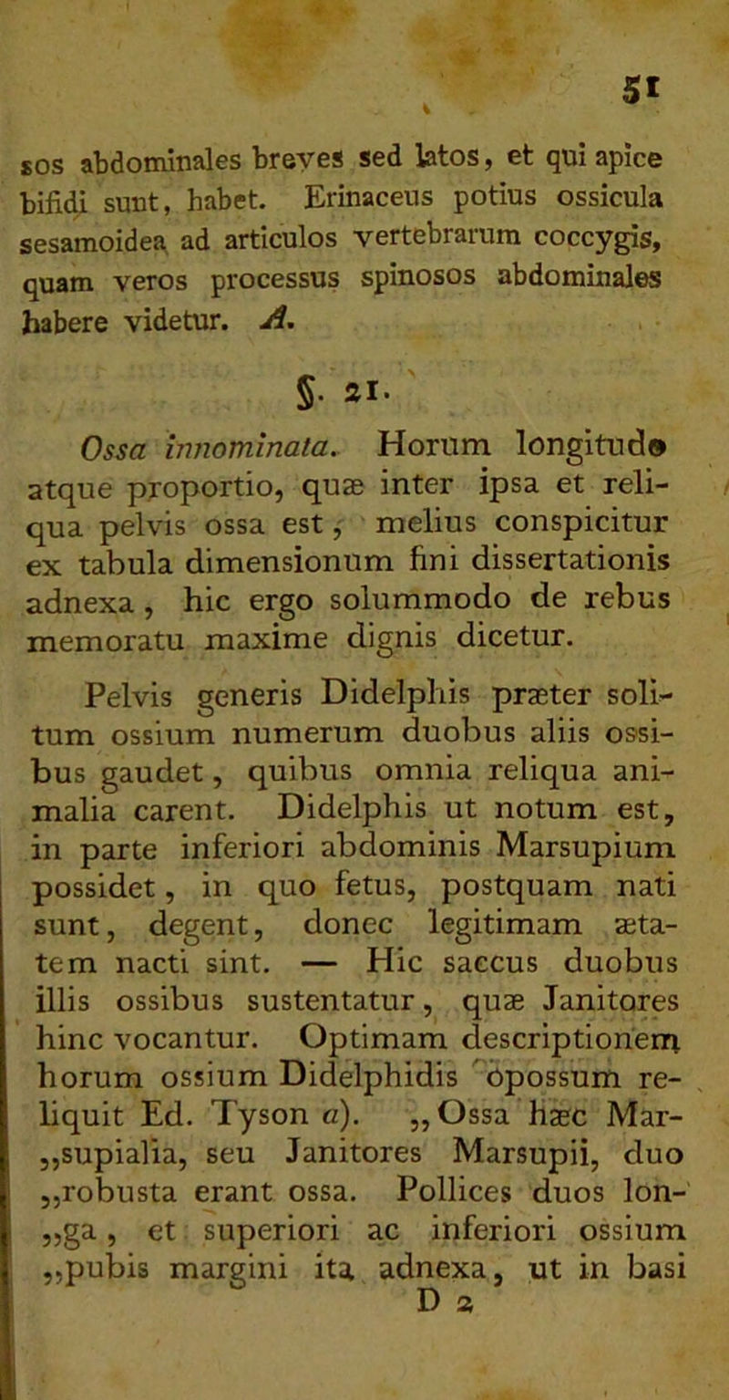 SOS abdominales breves sed latos, et qui apice bifidi sunt, habet. Erinaceus potius ossicula sesamoidea ad articulos vertebrarum coccygis, quam veros processus spinosos abdominales habere videtur. A, §• 21- Ossa innominata. Horum longitud» atque proportio, quae inter ipsa et reli- qua pelvis ossa est, melius conspicitur ex tabula dimensionum fini dissertationis adnexa, hic ergo solummodo de rebus memoratu maxime dignis dicetur. Pelvis generis Didelphis praeter soli-- tum ossium numerum duobus aliis ossi- bus gaudet, quibus omnia reliqua ani- malia carent. Didelphis ut notum est, in parte inferiori abdominis Marsupium possidet, in quo fetus, postquam nati sunt, degent, donec legitimam aeta- tem nacti sint. — Hic saccus duobus illis ossibus sustentatur, quae Janitores hinc vocantur. Optimam descriptionem horum ossium Didelphidis ^bpossum re- hquit Ed. Tyson a). „Ossa haec Mar- 5,supialia, seu Janitores Marsupii, duo 5,robusta erant ossa. Pollices duos lon- „ga, et superiori ac inferiori ossium „pubis margini ita adnexa, ut in basi
