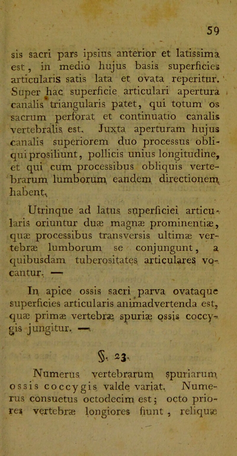 sis sacri pars ipsius anterior et latissima est, in medio hujus basis superficies articularis satis lata et ovata reperitur. ’ Super hac superhcie articulari apertura t canalis triangularis patet, qui totum os sacrum perforat et continuatio canalis vertebralis est. Juxta aperturam hujus canalis superiorem duo processus obli- qui prosiliunt, pollicis unius longitudine, et qui cum processibus obliquis verte- brarum lumborum, eandem directionem, haljent, Utrinque ad latus, superficiei articu*. laris oriuntur duas magnae prominentiae, quae processibus transversis ultimae ver- tebrae lumborum se conjungunt, a cj[uibusdam tuberositates articulares vo- cantur.. — In apice ossis sacri parva ovataque superficies articularis animadvertenda est, c^uae primae vertebrae spuriae ossis coccy-!- gis jungitur. —- §, 23- Numerus, vertebrarum spuriarum, ossis coccygis valde variat. Nume- rus consuetus octodecim est; octo prio- res vertebrae longiores fiunt , reliquae
