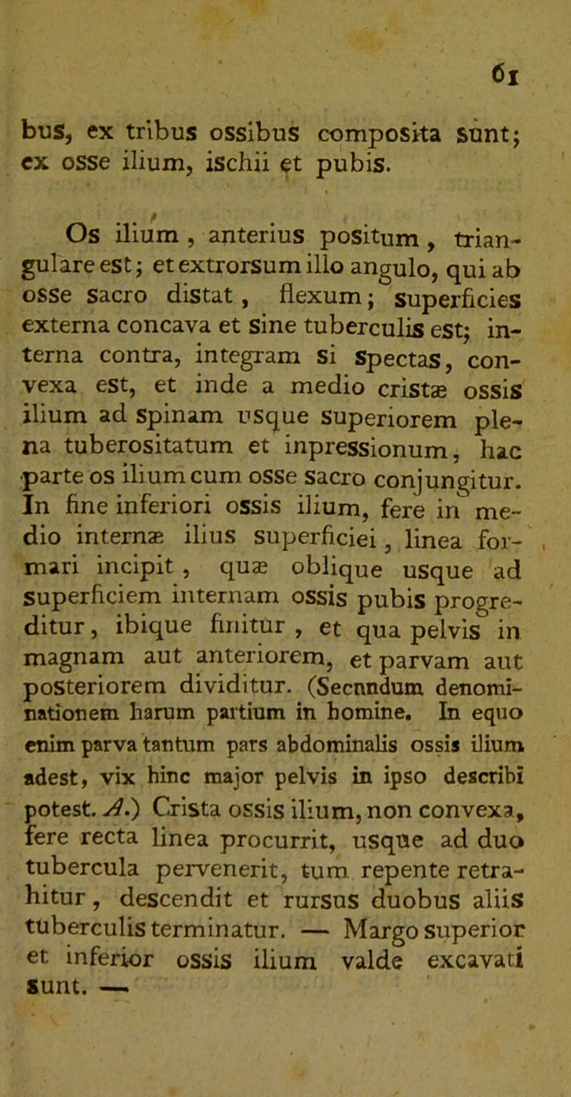 bus, ex tribus ossibus composka sunt; ex osse ilium, ischii et pubis. Os ilium , anterius positum, trian- gulare est; etextrorsum illo angulo, qui ab osse sacro distat, flexum; superficies externa concava et sine tuberculis est; in- terna contra, integram si Spectas, con- vexa est, et inde a medio cristae ossis ilium ad spinam usque superiorem ple- na tuberositatum et inpressionum, hac •parte os ilium cum osse sacro conjungitur. In fine inferiori ossis ilium, fere in me- dio internae ilius superficiei, linea for- mari incipit, quae oblique usque ad superficiem internam ossis pubis progre- ditur , ibique finitur , et qua pelvis in magnam aut anteriorem, et parvam aut posteriorem dividitur. (Secnndum denomi- nationem harum partium in homine. In equo enim parva tantum pars abdominalis ossis ilium adest, vix hinc major pelvis in ipso describi potest, Crista ossis ilium, non convexa, fere recta linea procurrit, usque ad duo tubercula pervenerit, tum repente retra- hitur , descendit et rursus duobus aliis tuberculis terminatur. — Margo superior et inferior ossis ilium valde excavati sunt. —
