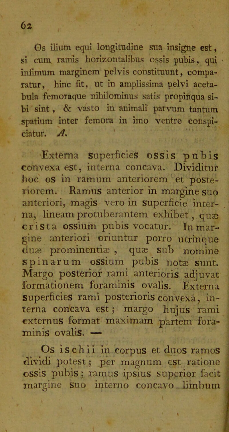 tz 0s ilium equi longitudine sua insigne est, si cum ramis horizontalibus ossis pubis, qui infimum marginem pelvis constituunt, compa- ratur, hinc fit, ut in amplissima pelvi aceta- bula femoraque nihilominus satis propinqua si- bi sint, & vasto in animali parvum tantum spatium inter femora in imo ventre conspi- ciatur. A, ' Externa superficies ossis pubis convexa est, interna concava. Dividitur hoc os in ramum anteriorem et poste- riorem. Ramus anterior in margine suo anteriori, magis vero in superficie inter- na, lineam protuberantem exhibet, quje crista ossium pubis vocatur. In mar- gine anteriori oriuntur porro utrinque duze prominentias , quas sub nomine spinarum ossium pubis notae sunt. Margo posterior rami anterioris adjuvat formationem foraminis ovalis. Externa superficies rami posterioris convexa, in- terna concava est; margo hujus rami externus format maximam partem fora- minis ovalis. — Os ischii in corpus et duos ramoS dividi potest; per magnum est ratione ossis pubis; ramus ipsius superior facit margine suo interno concavo limbum I