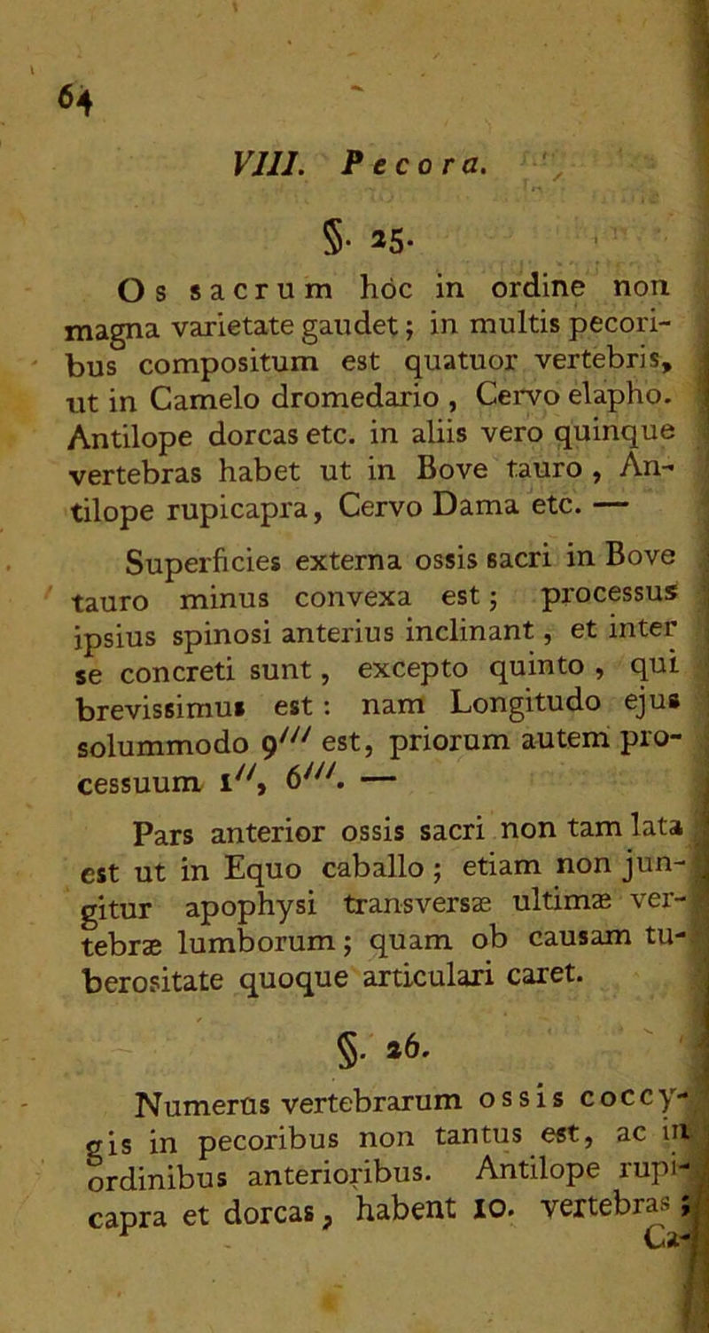 <54 I VJII. Pecora. i §• 25. Os sacrum hoc in ordine non magna varietate gaudet; in multis pecori- i bus compositum est quatuor vertebris, I ut in Camelo dromedario , Cervo elapho. I Antilope dorcas etc. in aliis vero quinque 1 vertebras habet ut in Bove tauro , An- \ tilope rupicapra, Cervo Dama etc. — j Superficies externa ossis sacri in Bove ] tauro minus convexa est; processus | ipsius spinosi anterius inclinant, et inter j se concreti sunt, excepto quinto , qui \ brevissimus est: nam Longitudo eju» ] solummodo 9^^' est, priorum autem pro- \ cessuunx 6^''^. — Pars anterior ossis sacri non tam lata est ut in Equo caballo; etiam non jun-| gitur apophysi transversas ultimas ver-j tebrae lumborum; quam ob causam tu-.» berositate quoque articulari caret. ‘ §. %6. Numerus vertebrarum ossis coccy-^ gis in pecoribus non tantus est, ac inj ordinibus anterioribus. Antilope rupi-| capra et dorcas, habent IO. vextebrasjl