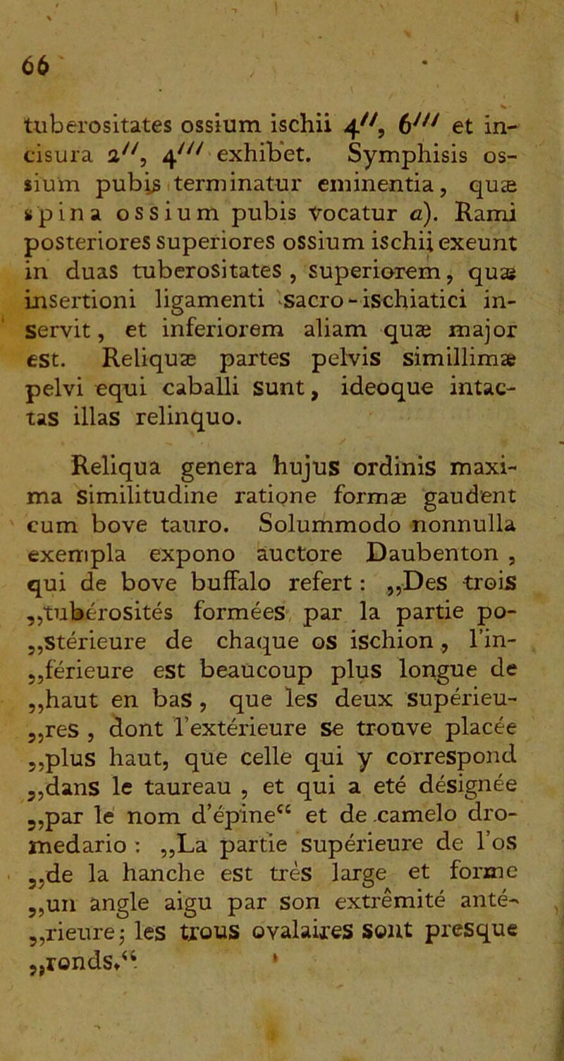tuberositates ossium ischii 4^^, 6^^^ et in- cisura 4^^^ exhibet. Symphisis os- sium pubis terminatur eminentia, quse spina ossium pubis vocatur a). Rami posteriores superiores ossium ischii exeunt in duas tuberositates , superiorem, qu«e insertioni ligamenti -sacro-ischiatici in- servit, et inferiorem aliam quze major est. Reliquae partes pelvis simillimae pelvi equi caballi sunt, ideoque intac- tas illas relinquo. Reliqua genera hujus ordinis maxi- ma similitudine ratipne formae gaudent cum bove tauro. Solummodo nonnulla exempla expono auctore Daubenton , qui de bove buffalo refert: „Des trois ,,tuberosites formees par la partie po- ,,Sterieure de chaque os ischion, l’in- 5,ferieure est beaucoup plus longue de ,,haut en bas, que les deux superieu- 5,res , dont l’exterieure se trouve placee 5,plus haut, que celle qui y correspond 3,dans le taureau , et qui a ete designee 5,par le nom d’epine“ et de .camelo dro- medario ; „La partie superieure de l’os 5,de la hanche est tres large et forine 5,un angle aigu par son extremite ante- 5,rieurej les tjous ovalaires sont presque ,,ronds»“ *
