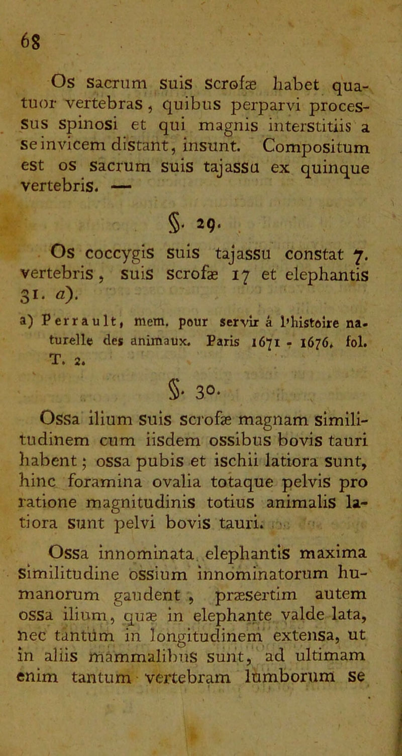 Os sacrum suis Scrofse liabet qua- tuor vertebras, quibus perparvi proces- sus spinosi et qui magnis interstitiis a se invicem distant, insunt. Compositum est os sacrum suis tajassu ex quinque vertebris. — §• 29- Os coccygis suis tajassu constat 7. vertebris , suis scrofas 17 et elephantis 31. u). a) Perrault, mera, pour servir a 1’histelre na. turelle des animaux. Paris 1671 - 1676. fol. T. 2. §• 30. Ossa ilium suis scrofae magnam simili- tudinem cum iisdem ossibus bovis tauri habent; ossa pubis et ischii latiora sunt, hinc foramina ovalia totaque pelvis pro ratione magnitudinis totius animalis la- tiora sunt pelvi bovis tauri. . Ossa innominata, elephantis maxima similitudine ossium innominatorum hu- manorum gaudent , praesertim autem ossa ilium, quae in elephante valde lata, nec tantiim in longitudinem extensa, ut in aliis mammalibus sunt, ad ultimam enim tantum vertebram lumborum se