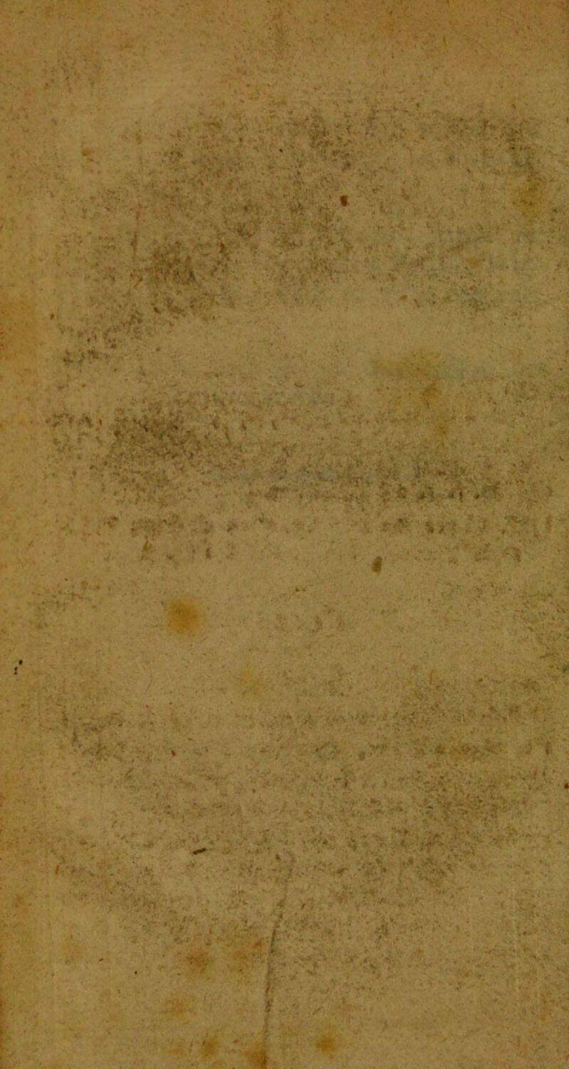 • f j-’ ^ - :v‘. Vv »“ V *♦ *1' . ■ ;■ . . ■ Wi* ■ -:*.'•■ • *“ \.’ ' ''•f r--.- . ,' ,?S- ^ fV-A ' * • • '• ; r ;!,.»■ .r '. 'J... i‘ *••■ . .m ■ , . t ,.<•.- > ■ ' ^.' ^ ' ' ' ' -■^ i*i : V ■ '‘y-^^tfv^i-‘-.^ ■ . ^ * v' :■ * V'-•/* ‘-.i ;,. ' ^ .-. * '■ ' ■ '. ... '•• • ..- .• ■ . ■'. ■•;. ' • ■ ■ -..-^^V’*' •- V T' -■ . V'- ,,. ,■ - T»; , • ;-. • 'r',' i‘-'.'i--ii(-r '■' ' •■ ■' / ■‘' ■ ■ l< ■ ■ ■■I -. ^'-i-.i; ■■ ' '^-. f ■■'■•: '-/'A--''■ ' }. •,, ;• . ,.. ->■- -i;' • ■