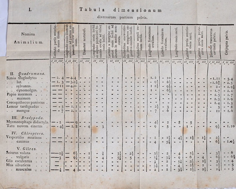 diversarum partium pelvis. Nomina Animalium. II. Q uadrumana. Simia troglodytes . . lar. . . . . . sylvanus. . . cynomolgus. . Papio mormon . . . maimon Cercopithecus paniscus Lemur tardigradus . . . mengoz III. Bradyp o da. Myrmecophaga didactyla, Tatu novem cinctus IV. Cliiroptera. Vespertilio murinus caninus V. Glires. Sciurus volans . vulgaris Glis esculentus . Mus silvaticus ■ . musculus . c B s o 2. 4 I- 3 — n - 3 - 7 2 •4l « I ^ lei .73 ■sB ■«e ■% o c .s ; o S ' I—f « / // /// ■4-4 -3.2| -4 — s ■e pH O a; ■tl ^ •2-0. S i o P // /// I. I — 2. - — I. 8 6| 9? — 4 - - 4 ss|.i o _ O 3 gj.a < J-g 2 “ o.a -s — s // /// . JL - 4 53 0> s.s e ■ P.J 03 5 ,w 4> l- .2 M e s fL> 1-3 // /// 3l 5i C o // /// SH .0 .3 2 a .9 3 // /// - 24 - 5 // /// P« V) o ° I. 2 - 9i 2 I 2 I - - 4r 9 // /// 10 // /// 6^- // /// Ii 5i 3i 5l 2 3i ^ 1 OT • 2 - 4i 5t 4 I - - 24 - 6 - 3^ - 2i E,t; .a > o w ■xj *n 53 q 4 2' 2 2w B I W 1/ // /// • I*II ■1*64 1*7 2.5 2.3 1*4 5 II - 9i 24 6| 3t 3l 24 24 - 3-4 ' 2.5 - 2.94 -2,2 - 2-7 - 2.9 - 2,3 - - 8 - 1.6 1,10 - I.«3 - 6 - 6i - 4 - 5 - 5
