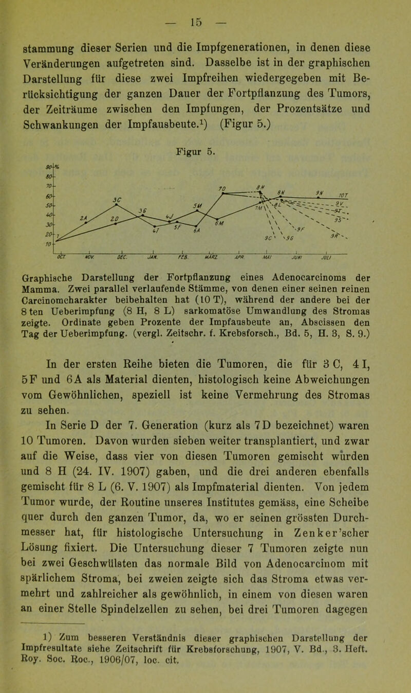stammung dieser Serien und die Impfgenerationen, in denen diese Veränderungen aufgetreten sind. Dasselbe ist in der graphischen Darstellung für diese zwei Impfreihen wiedergegeben mit Be- rücksichtigung der ganzen Dauer der Fortpflanzung des Tumors, der Zeiträume zwischen den Impfungen, der Prozentsätze und Schwankungen der Impfausbeute.^) (Figur 5.) Figur 5. Graphische Darstellung der Fortpflanzung eines Adenocarcinoms der Mamma. Zwei parallel verlaufende Stämme, von denen einer seinen reinen Carcinomcharakter beibehalten hat (10 T), während der andere bei der 8 ten Ueberimpfung (8 H, 8 L) sarkomatöse Umwandlung des Stromas zeigte. Ordinate geben Prozente der Impfansbeute an, Abscissen den Tag der Ueberimpfung. (vergl. Zeitschr. f. Krebsforsch., Bd. 5, H. 3, S. 9.) In der ersten Reihe bieten die Tumoren, die für 3 C, 41, 5F und 6A als Material dienten, histologisch keine Abweichungen vom Gewöhnlichen, speziell ist keine Vermehrung des Stromas zu sehen. In Serie D der 7. Generation (kurz als 7D bezeichnet) waren 10 Tumoren. Davon wurden sieben weiter transplantiert, und zwar auf die Weise, dass vier von diesen Tumoren gemischt wurden und 8 H (24. IV. 1907) gaben, und die drei anderen ebenfalls gemischt für 8 L (6. V. 1907) als Impfmaterial dienten. Von jedem Tumor wurde, der Routine unseres Institutes gemäss, eine Scheibe quer durch den ganzen Tumor, da, wo er seinen grössten Durch- messer hat, für histologische Untersuchung in Zenker’scher Lösung fixiert. Die Untersuchung dieser 7 Tumoren zeigte nun bei zwei Geschwülsten das normale Bild von Adenocarciuom mit spärlichem Stroma, bei zweien zeigte sich das Stroma etwas ver- mehrt und zahlreicher als gewöhnlich, in einem von diesen waren an einer Stelle Spindelzellen zu sehen, bei drei Tumoren dagegen 1) Zum besseren Verständnis dieser graphischen Darstellung der Impfresultate siehe Zeitschrift für Krebsforschung, 1907, V. ßd., 3. Heft. Roy. Soc. Roc., 1906/07, loc. cit.