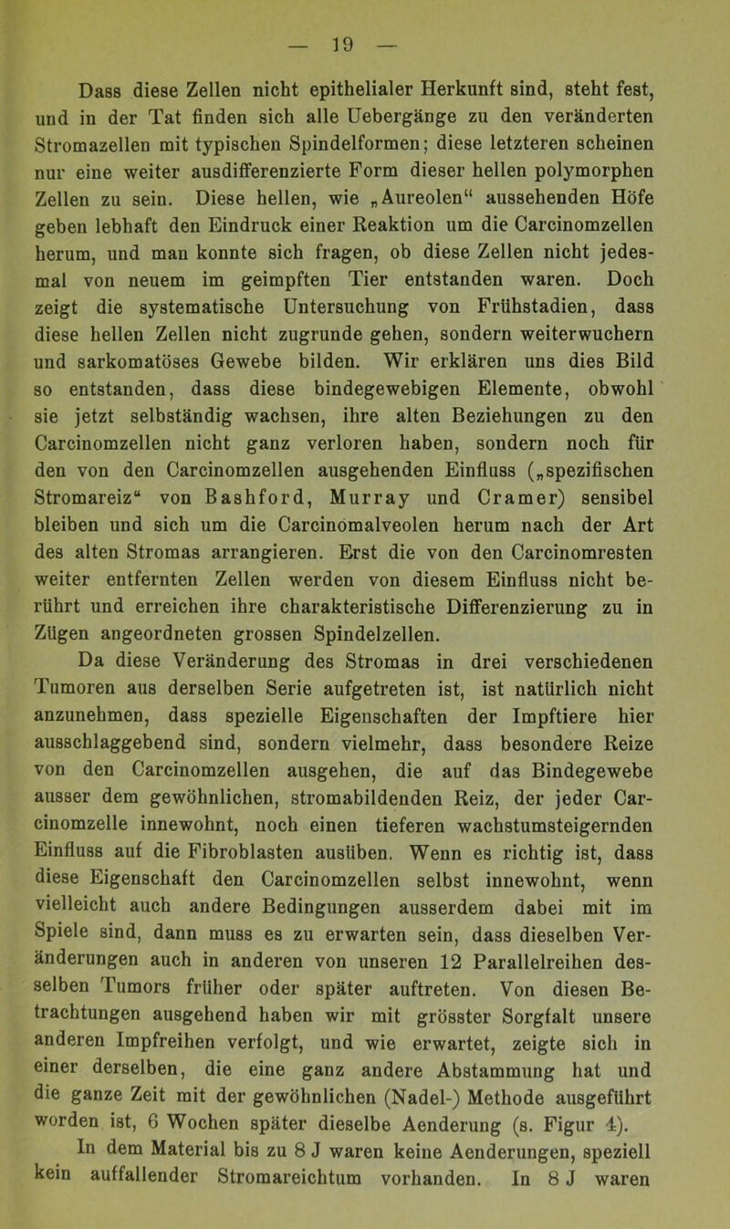 Dass diese Zellen nicht epithelialer Herkunft sind, steht fest, und in der Tat finden sich alle Uebergänge zu den veränderten Stromazellen mit typischen Spindelformen; diese letzteren scheinen nur eine weiter ausdiflferenzierte Form dieser hellen polymorphen Zellen zu sein. Diese hellen, wie „Aureolen“ aussehenden Höfe geben lebhaft den Eindruck einer Reaktion um die Carcinomzellen herum, und man konnte sich fragen, ob diese Zellen nicht jedes- mal von neuem im geimpften Tier entstanden waren. Doch zeigt die systematische Untersuchung von Frühstadien, dass diese hellen Zellen nicht zugrunde gehen, sondern weiterwuchern und sarkomatöses Gewebe bilden. Wir erklären uns dies Bild so entstanden, dass diese bindegewebigen Elemente, obwohl sie jetzt selbständig wachsen, ihre alten Beziehungen zu den Carcinomzellen nicht ganz verloren haben, sondern noch für den von den Carcinomzellen ausgehenden Einfluss („spezifischen Stromareiz“ von Bashford, Murray und Cramer) sensibel bleiben und sich um die Carcinömalveolen herum nach der Art des alten Stromas arrangieren. Erst die von den Carcinomresten weiter entfernten Zellen werden von diesem Einfluss nicht be- rührt und erreichen ihre charakteristische Differenzierung zu in Zügen angeordneten grossen Spindelzellen. Da diese Veränderung des Stromas in drei verschiedenen Tumoren aus derselben Serie aufgetreten ist, ist natürlich nicht anzunehmen, dass spezielle Eigenschaften der Impftiere hier ausschlaggebend sind, sondern vielmehr, dass besondere Reize von den Carcinomzellen ausgehen, die auf das Bindegewebe ausser dem gewöhnlichen, stromabildenden Reiz, der jeder Car- cinomzelle innewohnt, noch einen tieferen wachstumsteigernden Einfluss auf die Fibroblasten ausüben. Wenn es richtig ist, dass diese Eigenschaft den Carcinomzellen selbst innewohnt, wenn vielleicht auch andere Bedingungen ausserdem dabei mit im Spiele sind, dann muss es zu erwarten sein, dass dieselben Ver- änderungen auch in anderen von unseren 12 Parallelreihen des- selben Tumors früher oder später auftreten. Von diesen Be- trachtungen ausgehend haben wir mit grösster Sorgfalt unsere anderen Impfreihen verfolgt, und wie erwartet, zeigte sich in einer derselben, die eine ganz andere Abstammung hat und die ganze Zeit mit der gewöhnlichen (Nadel-) Methode ausgeführt worden ist, 6 Wochen später dieselbe Aenderung (s. Figur 4). In dem Material bis zu 8 J waren keine Aenderungen, speziell kein auffallender Stromareichtum vorhanden. In 8 J waren