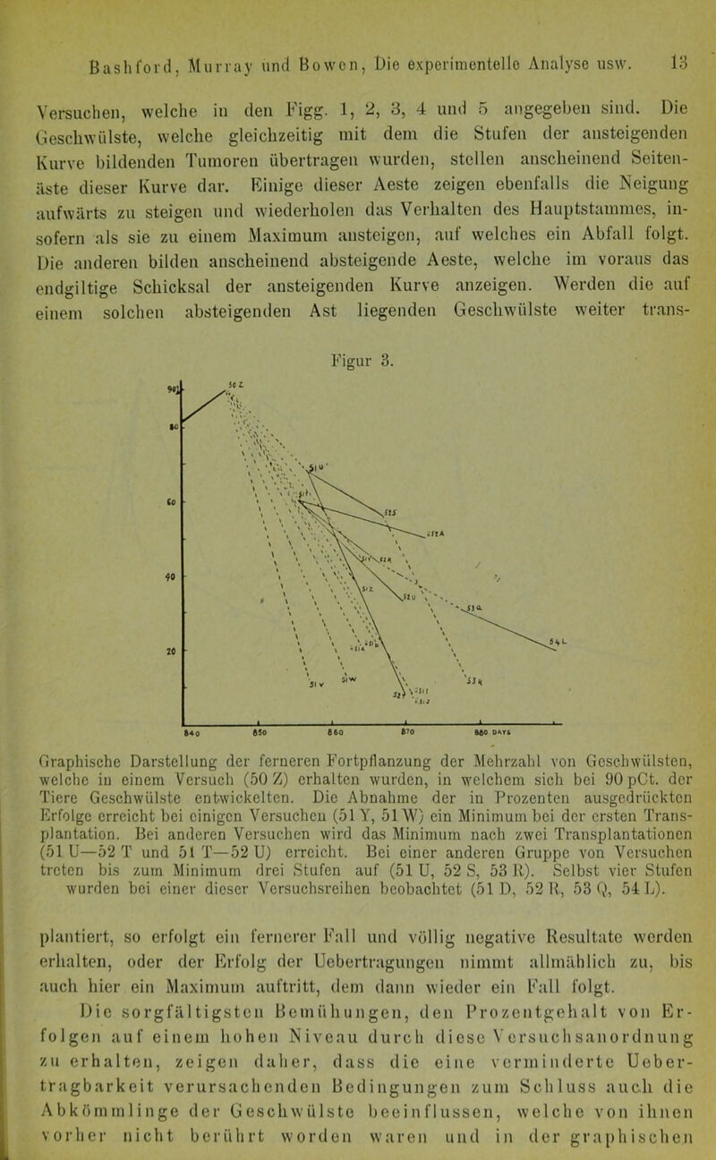 Versuchen, welche in den Figg. 1, 2, 3, 4 und 5 angegeben sind. Die Geschwülste, welche gleichzeitig mit dem die Stufen der ansteigenden Kurve bildenden Tumoren übertragen wurden, stellen anscheinend Seiten- äste dieser Kurve dar. Einige dieser Aeste zeigen ebenfalls die Neigung aufwärts zu steigen und wiederholen das Verhalten des Hauptstammes, in- sofern als sie zu einem Maximum ansteigen, auf welches ein Abfall folgt. Die anderen bilden anscheinend absteigende Aeste, welche im voraus das endgiltige Schicksal der ansteigenden Kurve anzeigen. Werden die auf einem solchen absteigenden Ast liegenden Geschwülste weiter trans- Figur 3. Graphische Darstellung der ferneren Fortpflanzung der Mehrzahl von Geschwülsten, welche in einem Versuch (50 Z) erhalten wurden, in welchem sich bei 90 pCt. der Tiere Geschwülste entwickelten. Die Abnahme der in Prozenten ausgedrückten Erfolge erreicht bei einigen Versuchen (51 Y, 51W) ein Minimum bei der ersten Trans- plantation. Bei anderen Versuchen wird das Minimum nach zwei Transplantationen (51 U—52 T und 51 T—52 U) erreicht. Bei einer anderen Gruppe von Versuchen treten bis zum Minimum drei Stufen auf (51 U, 52 S, 53 R). Selbst vier Stufen wurden bei einer dieser Versuchsreihen beobachtet (51 D, 52 R, 53 Q, 54 Im- plantiert, so erfolgt ein fernerer Fall und völlig negative Resultate werden erhalten, oder der Erfolg der Uebertragungen nimmt allmählich zu, bis auch hier ein Maximum auftritt, dem dann wieder ein Fall folgt. Die sorgfältigsten Bemühungen, den Prozentgehalt von Er- folgen auf einem hohen Niveau durch diese Versuchsanordnung zu erhalten, zeigen daher, dass die eine verminderte Ueber- tragbarkeit verursachenden Bedingungen zum Schluss auch die Abkömmlinge der Geschwülste beeinflussen, welche von ihnen vorher nicht berührt worden waren und in der graphischen