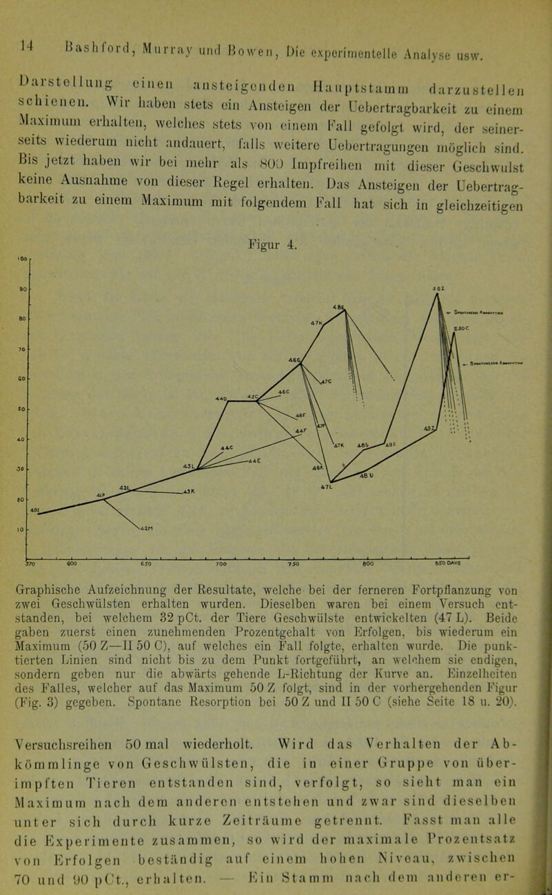 Darstellung einen ansteigen den H a n p ts t a m m d a r z u s t e 11 e n schienen. Wir haben stets ein Ansteigen der Uebertragbarkeit zu einem Maximum erhalten, welches stets von einem Fall gefolgt wird, der seiner- seits wiederum nicht andauert, falls weitere Uebertragungen möglich sind. Bis jetzt haben wir bei mehr als 800 Impfreihen mit dieser Geschwulst keine Ausnahme von dieser Regel erhalten. Das Ansteigen der Uebertrag- barkeit zu einem Maximum mit folgendem Fall hat sich in gleichzeitigen Figur 4. Graphische Aufzeichnung der Resultate, welche bei der ferneren Fortpflanzung von zwei Geschwülsten erhalten wurden. Dieselben waren bei einem Versuch ent- standen, bei welchem 32 pCt. der Tiere Geschwülste entwickelten (47 L). Beide gaben zuerst einen zunehmenden Prozentgchalt von Erfolgen, bis wiederum ein Maximum (50 Z—II 50 C), auf welches ein Fall folgte, erhalten wurde. Die punk- tierten Linien sind nicht bis zu dem Punkt fortgeführt, an welchem sie endigen, sondern geben nur die abwärts gehende L-Richtung der Kurve an. Einzelheiten des Falles, welcher auf das Maximum 50 Z folgt, sind in der vorhergehenden Figur (Fig. 3) gegeben. Spontane Resorption bei 50 Z und II 50 C (siehe Seite 18 u. 20). Versuchsreihen 50 mal wiederholt. Wird das Verhalten der Ab- kömmlinge von Geschwülsten, die in einer Gruppe von über- impften Tieren entstanden sind, verfolgt, so sieht man ein Maximum nach dem anderen entstehen und zwar sind dieselben unter sich durch kurze Zeiträume getrennt. Fasst man alle die Experimente zusammen, so wird der maximale Prozentsatz von Erfolgen beständig auf einem hohen Niveau, zwischen 70 und 90 pCt., erhalten. — Ein Stamm nach dem anderen er-