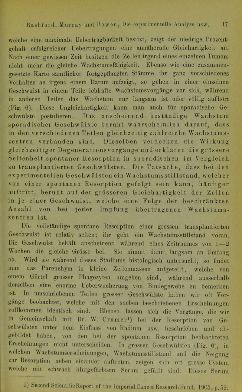 welche eine maximale Uebertragbarkeit besitzt, zeigt der niedrige Prozent- gehalt erfolgreicher Uebertragungen eine annähernde Gleichartigkeit an. Nach einer gewissen Zeit besitzen die Zellen irgend eines einzelnen Tumors nicht mehr die gleiche Wachstumsfähigkeit. Ebenso wie eine zusammen- gesetzte Karte sämtlicher fortgepflauzten Stämme ihr ganz verschiedenes Verhalten an irgend einem Datum aufzeigt, so gehen in einer einzelnen Geschwulst in einem Teile lebhafte Wachstumsvorgänge vor sich, während in anderen Teilen das Wachstum nur langsam ist oder völlig aufhört (Fig. 6). Diese Engleichartigkeit kann man auch für sporadische Ge- schwülste postulieren. Das anscheinend beständige Wachstum sporadischer Geschwülste beruht wahrscheinlich darauf, dass in den verschiedenen Teilen gleichzeitig zahlreiche Wachstums- zentren vorhanden sind. Dieselben verdecken die Wirkung gleichzeitiger Degenerationsvorgänge und erklären die grössere Seltenheit spontaner Resorption in sporadischen im Vergleich zu transplantierten Geschwülsten. Die Tatsache, dass bei den experimentellen Gesch w iilsten ein Wachstumsstillstand, welcher von einer spontanen Resorption gefolgt sein kann, häufiger auftritt, beruht auf der grösseren Gleichartigkeit der Zellen in je einer Geschwulst, welche eine Folge der beschränkten Anzahl von bei jeder Impfung übertragenen Wachstums- zentren ist. Die vollständige spontane Resorption einer grossen transplantierten Geschwulst ist relativ selten; ihr geht ein Wachstumsstillstand voran. Die Geschwulst behält anscheinend während eines Zeitraumes von 1—2 Wochen die gleiche Grösse bei. Sie nimmt dann, langsam an Umfang ab. Wird sie während dieses Stadiums histologisch untersucht, so findet man das Parenchym in kleine Zellenmassen aufgeteilt, welche von einem Gürtel grosser Phagozyten umgeben sind, während ausserhalb derselben eine enorme Ueberwucherung von Bindegewebe zu bemerken ist. In umschriebenen Teilen grosser Geschwülste haben wir oft Vor- gänge beobachtet, welche mit den soeben beschriebenen Erscheinungen vollkommen identisch sind. Ebenso lassen sich die Vorgänge, die wir in Gemeinschaft mit Dr. W. Gramer') bei der Resorption von Ge- schwülsten unter dem Einfluss von Radium usw. beschrieben und ab- gebildet haben, von den bei der spontanen Resorption beobachteten Erscheinungen nicht unterscheiden. In grossen Geschwülsten (Fig. 0), in welchen Wachstumserscheinungen, Wachstumsstillstand und die Neigung zur Resorption neben einander auf treten, zeigen sich oft grosse Cysten, welche mit schwach blutgefärbtem Serum gefüllt sind. Dieses Serum 1) Second Scientific Report of the Imperial Cancer Research Fund. 1905. p.59.