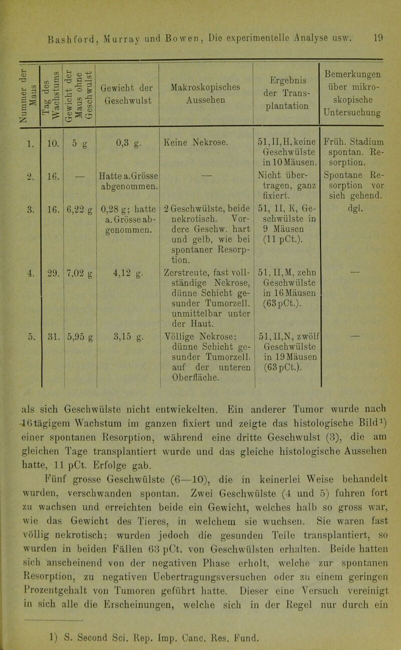 Nummer der 1 Maus Tag des Wachstums Gewicht der Maus ohne Geschwulst Gewicht der Geschwulst Makroskopisches Aussehen Ergebnis der Trans- plantation Bemerkungen über mikro- skopische Untersuchung 1. 10. 5 g 0,3 g. Keine Nekrose. 51,II,H,keine Geschwülste in 10 Mäusen. Früh. Stadium spontan. Re- sorption. 2. 16. “ Hatte a.Grösse abgenommen. Nicht über- tragen, ganz fixiert. Spontane Re- sorption vor sich gehend. 3. 16. 6,22 g 0,28 g; hatte a.Grösse ab- genommen. 2 Geschwülste, beide nekrotisch. Vor- dere Geschw. hart und gelb, wie bei spontaner Resorp- tion. 51, 11, K, Ge- schwülste in 9 Mäusen (11 pCt.). dgl. 4. 29. 7,02 g 4,12 g. Zerstreute, fast voll- ständige Nekrose, dünne Schicht ge- sunder Tumorzell, unmittelbar unter der Haut. 51, II, M, zehn Geschwülste in 16 Mäusen (63pCt.). 5. 31. 5,95 g 3,15 g. Völlige Nekrose; dünne Schicht ge- sunder Tumorzell, auf der unteren Oberlläche. 51,11,N, zwölf Geschwülste in 19 Mäusen (63pCt.). als sich Geschwülste nicht entwickelten. Ein anderer Tumor wurde nach 16tägigem Wachstum im ganzen fixiert und zeigte das histologische Bild1) einer spontanen Resorption, während eine dritte Geschwulst (3), die am gleichen Tage transplantiert wurde und das gleiche histologische Aussehen hatte, 11 pCt. Erfolge gab. Fünf grosse Geschwülste (6—10), die in keinerlei Weise behandelt wurden, verschwanden spontan. Zwei Geschwülste (4 und 5) fuhren fort zu wachsen und erreichten beide ein Gewicht, welches halb so gross war, wie das Gewicht des Tieres, in welchem sie wuchsen. Sie waren fast völlig nekrotisch; wurden jedoch die gesunden Teile transplantiert, so wurden in beiden Fällen 63 pCt. von Geschwülsten erhalten. Beide hatten sich anscheinend von der negativen Phase erholt, welche zur spontanen Resorption, zu negativen Uebertragungsversuchen oder zu einem geringen Prozentgehalt von Tumoren geführt hatte. Dieser eine Versuch vereinigt in sich alle die Erscheinungen, welche sich in der Regel nur durch ein 1) S. Second Sei. Rep. Imp. Canc. Res. Fund.