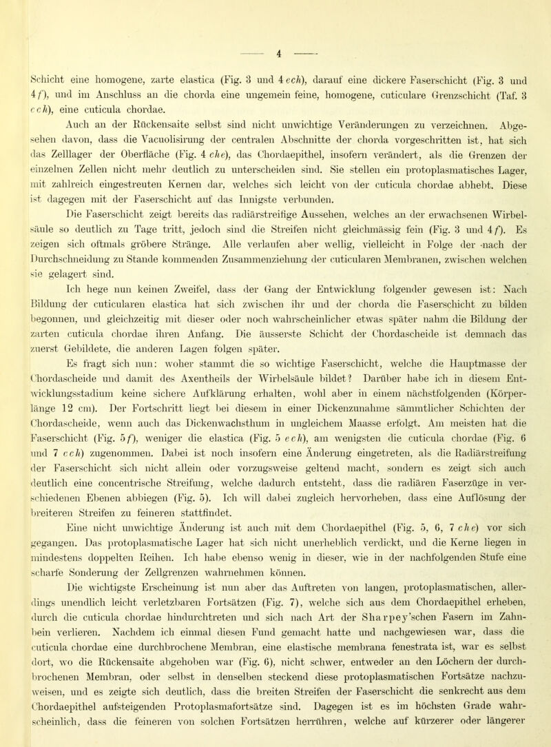 Schicht eine homogene, zarte elastica (Fig. 3 und 4 ech), darauf eine dickere Faserschicht (Fig. 3 und 4 f), und im Anschluss an die chorda eine ungemein feine, homogene, cuticulare Grenzschicht (Taf. 3 cch), eine cuticula chordae. Auch an der Rückensaite selbst sind nicht unwichtige Veränderungen zu verzeichnen. Abge- sehen davon, dass die Vacuolisirung der centralen Abschnitte der chorda vorgeschritten ist, hat sich das Zelllager der Oberfläche (Fig. 4 che), das Chordaepithel, insofern verändert, als die Grenzen der einzelnen Zellen nicht mehr deutlich zu unterscheiden sind. Sie stellen ein protoplasmatisclies Lager, mit zahlreich eingestreuten Kernen dar, welches sich leicht von der cuticula chordae abhebt. Diese ist dagegen mit der Faserschicht auf das Innigste verbunden. Die Faserschicht zeigt bereits das radiärstreifige Aussehen, welches an der erwachsenen Wirbel- säule so deutlich zu Tage tritt, jedoch sind die Streifen nicht gleiclnnässig fein (Fig. 3 und 4 f). Es zeigen sich oftmals gröbere Stränge. Alle verlaufen aber wellig, vielleicht in Folge der -nach der Durchschneidung zu Stande kommenden Zusammenziehung der cuticularen Membranen, zwischen welchen sie gelagert sind. Ich hege nun keinen Zweifel, dass der Gang der Entwicklung folgender gewesen ist: Nach Bildung der cuticularen elastica hat sich zwischen ihr und der chorda die Faserschicht zu bilden begonnen, und gleichzeitig mit dieser oder noch wahrscheinlicher etwas später nahm die Bildung der zarten cuticula chordae ihren Anfang. Die äusserste Schicht der Chordascheide ist demnach das zuerst Gebildete, die anderen Lagen folgen später. Es fragt sich nun: woher stammt die so wichtige Faserschicht, welche die Hauptmasse der Chordascheide und damit des Axentlieils der Wirbelsäule bildet? Darüber habe ich in diesem Ent- wicklungsstadium keine sichere Aufklärung erhalten, wohl aber in einem nächstfolgenden (Körper- länge 12 cm). Der Fortschritt liegt bei diesem in einer Dickenzunahme sämmtlicher Schichten der Chordascheide, wenn auch das Dickenwachsthum in ungleichem Maasse erfolgt. Am meisten hat die Faserschicht (Fig. 5 f), weniger die elastica (Fig. 5 ech), am wenigsten die cuticula chordae (Fig. 6 und 7 cch) zugenommen. Dabei ist noch insofern eine Änderung eingetreten, als die Radiärstreifung der Faserschicht sich nicht allein oder vorzugsweise geltend macht, sondern es zeigt sich auch deutlich eine concentrisclie Streifung, welche dadurch entsteht, dass die radiären Faserzüge in ver- schiedenen Ebenen abbiegen (Fig. 5). Ich will dabei zugleich hervorheben, dass eine Auflösung der breiteren Streifen zu feineren stattfindet. Eine nicht unwichtige Änderung ist auch mit dem Chordaepithel (Fig. 5, ö, 7 che) vor sich gegangen. Das protoplasmatische Lager hat sich nicht unerheblich verdickt, und die Kerne liegen in mindestens doppelten Reihen. Ich habe ebenso wenig in dieser, wie in der nachfolgenden Stufe eine scharfe Sonderung der Zellgrenzen wahrnehmen können. Die wichtigste Erscheinung ist nun aber das Auftreten von langen, protoplasmatischen, aller- dings unendlich leicht verletzbaren Fortsätzen (Fig. 7), welche sich aus dem Chordaepithel erheben, durch die cuticula chordae hindurchtreten und sich nach Art der Sliarpey’schen Fasern im Zahn- bein verlieren. Nachdem ich einmal diesen Fund gemacht hatte und nachgewiesen war, dass die cuticula chordae eine durchbrochene Membran, eine elastische membrana fenestrata ist, war es selbst dort, wo die Rückensaite abgehoben war (Fig. 6), nicht schwer, entweder an den Löchern der durch- brochenen Membran, oder selbst in denselben steckend diese protoplasmatischen Fortsätze nachzu- weisen, und es zeigte sich deutlich, dass die breiten Streifen der Faserschicht die senkrecht aus dem Chordaepithel aufsteigenden Protoplasmafortsätze sind. Dagegen ist es im höchsten Grade wahr- scheinlich, dass die feineren von solchen Fortsätzen herrühren, welche auf kürzerer oder längerer