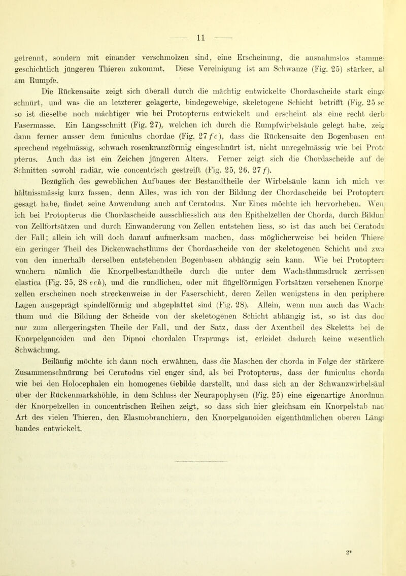 getrennt, sondern mit einander verschmolzen sind, eine Erscheinung, die ausnahmslos stammet geschichtlich jüngeren Thieren zukommt. Diese Vereinigung ist am Schwänze (Fig. 25) stärker, al am Rumpfe. Die Rückensaite zeigt sich überall durch die mächtig entwickelte Chordascheide stark einge schnürt, und was die an letzterer gelagerte, bindegewebige, skeletogene Schicht betrifft (Fig. 25 sc so ist dieselbe noch mächtiger wie bei Protopterus entwickelt und erscheint als eine recht derb Fasermasse. Ein Längsschnitt (Fig. 27), welchen ich durch die Rumpfwirbelsäule gelegt habe, zeig dann ferner ausser dem funiculus chordae (Fig. 27 fc), dass die Rückensaite den Bogenbasen eiff sprechend regelmässig, schwach rosenkranzförmig eingeschnürt ist, nicht unregelmässig wie bei Prot( pterus. Auch das ist ein Zeichen jüngeren Alters. Ferner zeigt sich die Chordascheide auf de Schnitten sowohl radiär, wie concentrisch gestreift (Fig. 25, 26, 27 f). Bezüglich des geweblichen Aufbaues der Bestandtheile der Wirbelsäule kann ich mich vei hältnissmässig kurz fassen, denn Alles, was ich von der Bildung der Chordascheide bei Protoptern gesagt habe, findet seine Anwendung auch auf Ceratodus. Nur Eines möchte ich hervorheben. Wen ich bei Protopterus die Chordascheide ausschliesslich aus den Epithelzellen der Chorda, durch Bildun von Zellfortsätzen und durch Einwanderung von Zellen entstehen liess, so ist das auch bei Ceratodu der Fall; allein ich will doch darauf aufmerksam machen, dass möglicheiweise bei beiden Thiere ein geringer Theil des Dickenwachsthums der Chordascheide von der skeletogenen Schicht und zwa von den innerhalb derselben entstehenden Bogenbasen abhängig sein kann. Wie bei Protopterr wuchern nämlich die Knorpelbestandtheile durch die unter dem Wachsthumsdruck zerrissen elastica (Fig. 25, 28 ech), und die rundlichen, oder mit flügelförmigen Fortsätzen versehenen Knorpe zellen erscheinen noch streckenweise in der Faserschicht, deren Zellen wenigstens in den periphere Lagen ausgeprägt spindelförmig und abgeplattet sind (Fig. 28). Allein, wenn nun auch das Wachs thum und die Bildung der Scheide von der skeletogenen Schicht abhängig ist, so ist das doc nur zum allergeringsten Theile der Fall, und der Satz, dass der Axentheil des Skeletts bei de Knorpelganoiden und den Dipnoi cliordalen Ursprungs ist, erleidet dadurch keine wesentlich Schwächung. Beiläufig möchte ich dann noch erwähnen, dass die Maschen der cliorda in Folge der stärkere Zusammenschnürung bei Ceratodus viel enger sind, als bei Protopterus, dass der funiculus chorda wie bei den Holocephalen ein homogenes Gebilde darstellt, und dass sich an der Schwanzwirbelsäul über der Rückenmarkshöhle, in dem Schluss der Neurapophysen (Fig. 25) eine eigenartige Anordnun der Knorpelzellen in concentrischen Reihen zeigt, so dass sich hier gleichsam ein Knorpelstab nac Art des vielen Thieren, den Elasmobranchiern, den Knorpelganoiden eigentümlichen oberen Längs bandes entwickelt. 2*