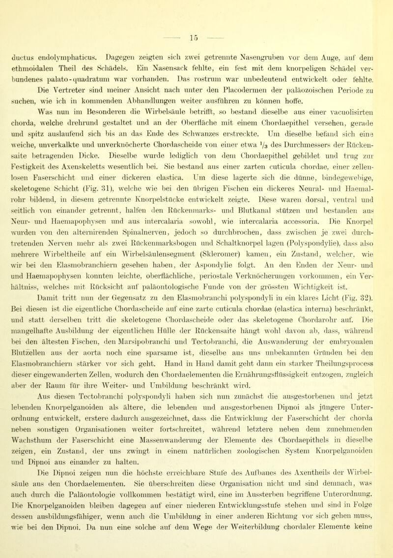 ductus endolymphaticus. Dagegen zeigten sich zwei getrennte Nasengruben vor dem Auge, auf dem ethmoidalen Theil des Schädels. Ein Nasensack fehlte, ein fest mit dem knorpeligen Schädel ver- bundenes palato - quadratum war vorhanden. Das rostrum war unbedeutend entwickelt oder fehlte. Die Vertreter sind meiner Ansicht nach unter den Placodermen der paläozoischen Periode zu suchen, wie ich in kommenden Abhandlungen weiter ausführen zu können hoffe. Was nun im Besonderen die Wirbelsäule betrifft, so bestand dieselbe aus einer vacuolisirten chorda, welche drehrund gestaltet und an der Oberfläche mit einem Chordaepithel versehen, gerade und spitz auslaufend sich bis an das Ende des Schwanzes erstreckte. Um dieselbe befand sich ein 3 weiche, unverkalkte und unverknöcherte Chordascheide von einer etwa V3 fies Durchmessers der Rücken- saite betragenden Dicke. Dieselbe wurde lediglich von dem Chordaepithel gebildet und trug zur Eestigkeit des Axenskeletts wesentlich bei. Sie bestand aus einer zarten cuticula chordae, einer zellen- losen Faserschicht und einer dickeren elastica. Um diese lagerte sich die dünne, bindegewebige, skeletogene Schicht (Fig. 31), welche wie bei den übrigen Fischen ein dickeres Neural- und Haemal- rohr bildend, in diesem getrennte Knorpelstücke entwickelt zeigte. Diese waren dorsal, ventral und seitlich von einander getrennt, halfen den Rückenmarks- und Blutkanal stützen und bestanden aus Neur- und Haemapophysen und aus intercalaria sowohl, wie intercalaria accessoria. Die Knorpel wurden von den altemirenden Spinalnerven, jedoch so durchbrochen, dass zwischen je zwei durch- tretenden Nerven mehr als zwei Rückenmarksbogen und Schaltknorpel lagen (Polyspondylie), dass also mehrere Wirbeltheile auf ein Wirbelsäulensegment (Skleromer) kamen, ein Zustand, welcher, wie wir bei den Elasmobranchiern gesehen haben, der Aspondylie folgt. An den Enden der Neur- und und Haemapophysen konnten leichte, oberflächliche, periostale Verknöcherungen Vorkommen, ein Ver- hältniss, welches mit Rücksicht auf paläontologische Funde von der grössten Wichtigkeit ist. Damit tritt nun der Gegensatz zu den Elasmobranehi polyspondyli in ein klares Licht (Fig. 32). Bei diesen ist die eigentliche Chordascheide auf eine zarte cuticula chordae (elastica interna) beschränkt, und statt derselben tritt die skeletogene Chordascheide oder das skeletogene Chordarohr auf. Die mangelhafte Ausbildung der eigentlichen Hülle der Rückensaite hängt wohl davon ab, dass, während bei den ältesten Fischen, den Marsipobranchi und Tectobranchi, die Auswanderung der embryonalen Blutzellen aus der aorta noch eine sparsame ist, dieselbe aus uns unbekannten Gründen bei den Elasmobranchiern stärker vor sich geht. Hand in Hand damit geht dann ein starker Theilungsprocess dieser eingewanderten Zellen, wodurch den Chordaelementen die Ernährungsflüssigkeit entzogen, zugleich aber der Raum für ihre Weiter- und Umbildung beschränkt wird. Aus diesen Tectobranchi polyspondyli haben sich nun zunächst die ausgestorbenen und jetzt lebenden Ivnorpelganoiden als ältere, die lebenden und ausgestorbenen Dipnoi als jüngere Unter- ordnung entwickelt, erstere dadurch ausgezeichnet, dass die Entwicklung der Faserschicht der chorda neben sonstigen Organisationen weiter fortschreitet, während letztere neben dem zunehmenden Wachsthum der Faserschicht eine Massenwanderung der Elemente des Chordaepithels in dieselbe zeigen, ein Zustand, der uns zwingt in einem natürlichen zoologischen System Ivnorpelganoiden und Dipnoi aus einander zu halten. Die Dipnoi zeigen nun die höchste erreichbare Stufe des Aufbaues des Axentheils der Wirbel- säule aus den Chordaelementen. Sie überschreiten diese Organisation nicht und sind demnach, was auch durch die Paläontologie vollkommen bestätigt wird, eine im Aussterben begriffene Unterordnung. Die Knorpelganoiden bleiben dagegen auf einer niederen Entwicklungsstufe stehen und sind in Folge dessen ausbildungsfähiger, wenn auch die Umbildung in einer anderen Richtung vor sich gehen muss, wie bei den Dipnoi. Da nun eine solche auf dem Wege der Weiterbildung chordaler Elemente keine