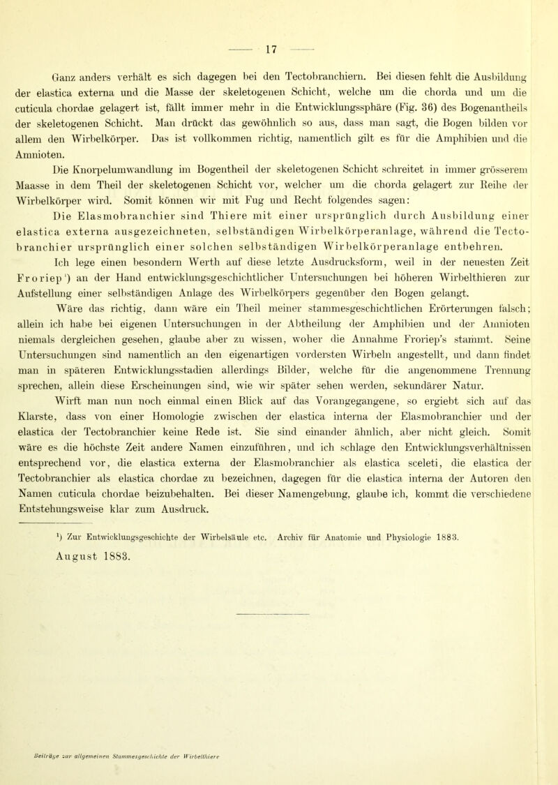 Ganz anders verhält es sich dagegen bei den Tectobranchiern. Bei diesen fehlt die Ausbildung der elastica externa und die Masse der skeletogenen Schicht, welche um die chorda und um die cuticula chordae gelagert ist, fällt immer mehr in die Entwicklungssphäre (Fig. 36) des Bogenantheils der skeletogenen Schicht. Man drückt das gewöhnlich so aus, dass man sagt, die Bogen bilden vor allem den Wirbelkörper. Das ist vollkommen richtig, namentlich gilt es für die Amphibien und die Amnioten. Die Knorpelumwandlung im Bogentheil der skeletogenen Schicht schreitet in immer grösserem Maasse in dem Theil der skeletogenen Schicht vor, welcher um die chorda gelagert zur Reihe der Wirbelkörper wird. Somit können wir mit Fug und Recht folgendes sagen: Die Elasmobranchier sind Thiere mit einer ursprünglich durch Ausbildung einer elastica externa ausgezeichneten, selbständigen Wirbelkörperanlage, während die Tecto- branchier ursprünglich einer solchen selbständigen Wirbelkörperanlage entbehren. Ich lege einen besondern Werth auf diese letzte Ausdrucksform, weil in der neuesten Zeit Froriep') an der Hand entwicklungsgeschichtlicher Untersuchungen bei höheren Wirbelthieren zur Aufstellung einer selbständigen Anlage des Wirbelkörpers gegenüber den Bogen gelangt. Wäre das richtig, dann wäre ein Theil meiner stammesgeschichtlichen Erörterungen falsch; allein ich habe bei eigenen Untersuchungen in der Abtheilung der Amphibien und der Amnioten niemals dergleichen gesehen, glaube aber zu wissen, woher die Annahme Froriep’s stammt. Seine Untersuchungen sind namentlich an den eigenartigen vordersten Wirbeln angestellt, und dann findet man in späteren Entwicklungsstadien allerdings Bilder, welche für die angenommene Trennung sprechen, allein diese Erscheinungen sind, wie wir später sehen werden, sekundärer Natur. Wirft man nun noch einmal einen Blick auf das Yorangegangene, so ergiebt sich auf das Klarste, dass von einer Homologie zwischen der elastica interna der Elasmobranchier und der elastica der Tectobranchier keine Rede ist. Sie sind einander ähnlich, aber nicht gleich. Somit wäre es die höchste Zeit andere Namen einzuführen, und ich schlage den Entwicklungsverhältnissen entsprechend vor, die elastica externa der Elasmobranchier als elastica sceleti, die elastica der Tectobranchier als elastica chordae zu bezeichnen, dagegen für die elastica interna der Autoren den Namen cuticula chordae beizubehalten. Bei dieser Namengebung, glaube ich, kommt die verschiedene Entstehungsweise klar zum Ausdruck. T Zur Entwicklungsgeschichte der Wirbelsäule etc. Archiv für Anatomie und Physiologie 1883. August 1883. Beiträge zur allgemeinen Stammesgeschichte der Wirbetthiere