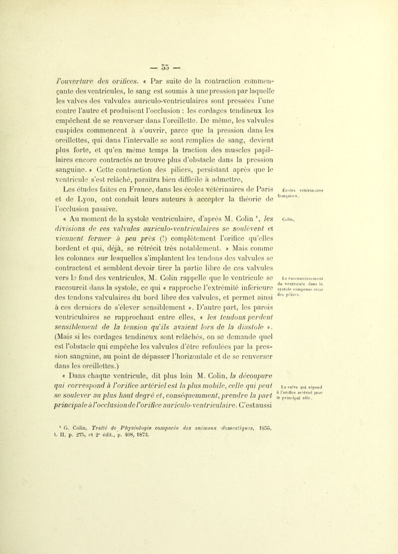 l'ouverture des orifices. « Par suite do la contraction commen- çante des ventricules, le sang est soumis à une pression par laquelle les valves des valvules auriculo-ventriculaires sont pressées l’une contre l’autre et produisent l’occlusion : les cordages tendineux les empêchent de se renverser dans l’oreillette. De même, les valvules cuspides commencent à s’ouvrir, parce que la pression dans les oreillettes, qui dans l’intervalle se sont remplies de sang, devient plus forte, et qu’en même temps la traction des muscles papil- laires encore contractés ne trouve plus d’obstacle dans la pression sanguine. » Cette contraction des piliers, persistant après que le ventricule s’est relâché, paraîtra bien difficile à admettre, Les études faites en France, dans les écoles vétérinaires de Paris et de Lyon, ont conduit leurs auteurs à accepter la théorie de l’occlusion passive. « Au moment de la systole ventriculaire, d’après M. Colin 1, les divisions de ces valvules auriculo-ventriculaires se soulèvent et viennent fermer à peu près (!) complètement l’orifice qu’elles bordent et qui, déjà, se rétrécit très notablement. » Mais comme les colonnes sur lesquelles s’implantent les tendons des valvules se contractent et semblent devoir tirer la partie libre de ces valvules vers le fond des ventricules, M. Colin rappelle que le ventricule se raccourcit dans la systole, ce qui « rapproche l’extrémité inférieure des tendons valvulaires du bord libre des valvules, et permet ainsi aces derniers de s’élever sensiblement ». D’autre part, les parois ventriculaires se rapprochant entre elles, « les tendons perdent sensiblement de la tension qu'ils avaient lors de la diastole ». (Mais si les cordages tendineux sont relâchés, on se demande quel est l’obstacle qui empêche les valvules d’être refoulées par la pres- sion sanguine, au point de dépasser l’horizontale et de se renverser dans les oreillettes.) « Dans chaque ventricule, dit plus loin M. Colin, la découpure qui correspond à l'orifice artériel est la plus mobile, celle qui peut se soulever au plus haut degré et, conséquemment, prendre la part principale à l’occlusion de l'orifice auriculo-ventriculaire. C’estaussi 4 G. Colin, Traité de Physiologie comparée des animaux domestiques, 1855, t. II, p. 275, et 2° édit., p. 408, 1873. Écoles vétérin lires françaises. Colin. Le raccourcissement du ventricule dans la systole compense celui des piliers. La valve qui répond à l’oriflce artériel joue le principal rôle.