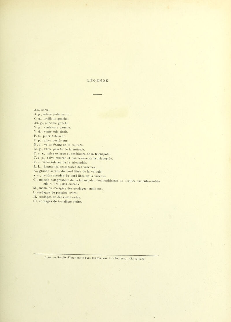 LÉGENDE Ao., aorte. A. p., artère pulmonaire. 0. g., oreillette gauche. Au. g., auricule gauche. V. g., ventricule gauche. V. d., ventricule droit. P. a., pilier ante'rieur. P. p., pilier postérieur. M. d., valve droite de la mitrale. M. g., valve gauche de la mitrale. T. e. a., valve externe et antérieure de la tricuspide. T. e. p., valve externe et postérieure de la tricuspide. T. i., valve interne de la tricuspide. L. L., languettes accessoires des valvules. A., grande arcade du bord libre de la valvule, a. a., petites arcades du bord libre de la valvule. G., muscle compresseur de la tricuspide, demi-sphincter de l'orifice auriculo-ventri- culaire droit des oiseaux. M. , mamelon d’origine des cordages tendineux. 1, cordages de premier ordre. II, cordages de deuxième ordre. III, cordages de troisième ordre. i aRis. Société d imprimerie Kut. Di pont, rue J.-J.-Rousseau. (Cl.) 174.5.83.