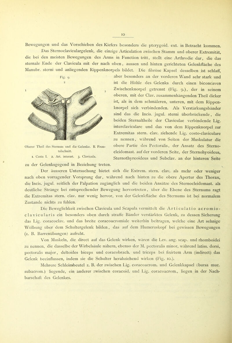 IO Bewegungen und das Vorschieben des Kiefers besonders die pterygoid. ext. in Betracht kommen. Das Sternoclaviculargelenk, die einzige Articulation zwischen Stamm und oberer Extremität, die bei den meisten Bewegungen des Arms in Function tritt, stellt eine Arthrodie dar, die das sternale Ende der Clavicula mit der nach oben , aussen und hinten gerichteten Gelenkfläche des Manubr. sterni und anliegenden Rippenknorpels bildet. Die fibröse Kapsel desselben ist schlaff, aber besonders an der vorderen Wand sehr stark und ist die Höhle des Gelenks durch einen biconcaven Zwischenknorpel getrennt (Fig. 9.), der in seinem oberen, mit der Clav, zusammenhängenden Theil dicker ist, als in dem schmäleren, unteren, mit dem Rippen- knorpel sich verbindenden. Als Verstärkungsbänder sind das die Incis. jugul. sterni überbrückende, die beiden Sternaltheile der Claviculae verbindende Lig. interclaviculare und das von dem Rippenknorpel zur Extremitas Stern, clav. ziehende Lig. costo-claviculare zu nennen, während von Seiten der Muskulatur die obere Partie des Pectoralis, der Ansatz des Sterno- cleidomast. auf der vorderen Seite, der Sternohyoideus, Sternothyreoideus und Subclav. an der hinteren Seite zu der Gelenksgegend in Beziehung treten. Der äusseren Untersuchung bietet sich die Extrem, stern. clav. als mehr oder weniger nach oben vorragender Vorsprung dar, während nach hinten zu die obere Apertur des Thorax, die Incis. jugul. seitlich der Palpation zugänglich und die beiden Ansätze des Sternocleidomast. als deutliche Stränge bei entsprechender Bewegung hervortreten , über die Ebene des Sternums ragt die Extremitas stern. clav. nur wenig hervor, von der Gelenkfläche des Sternums ist bei normalem Zustande nichts zu fühlen. Die Beweglichkeit zwischen Clavicula und Scapula vermittelt die Articulatio acromio- clavicularis ein besonders oben durch straffe Bänder verstärktes Gelenk, zu dessen Sicherung das Lig. coracoclav. und das breite coracoacromiale weiterhin beitragen, welche eine Art sehnige Wölbung über dem Schultergelenk bilden, das auf dem Humeruskopf bei gewissen Bewegungen (z. B. Barrenübungen) aufruht. Von Muskeln, die direct auf das Gelenk wirken, wären die Lev. ang. scap. und rhomboidei zu nennen, die dasselbe der Wirbelsäule nähern, ebenso der M. pectoralis minor, während latiss. dorsi, pectoralis major, deltoides biceps und coracobrach. und triceps bei fixirtem Arm (indirect) das Gelenk beeinflussen, indem sie die Schulter herabziehend wirken (Fig. 10.). Mehrere Schleimbeutel z. B. der zwischen Lig. coracoacrom. und Gelenkkapsel (bursa muc. subacrom.) liegende, ein anderer zwischen coracoid. und Lig. coracoacrom., liegen in der Nach- barschaft des Gelenkes. Fig. 9. 2 Oberer Theil des Sternum und die Gelenke. R Fron- talschnitt.